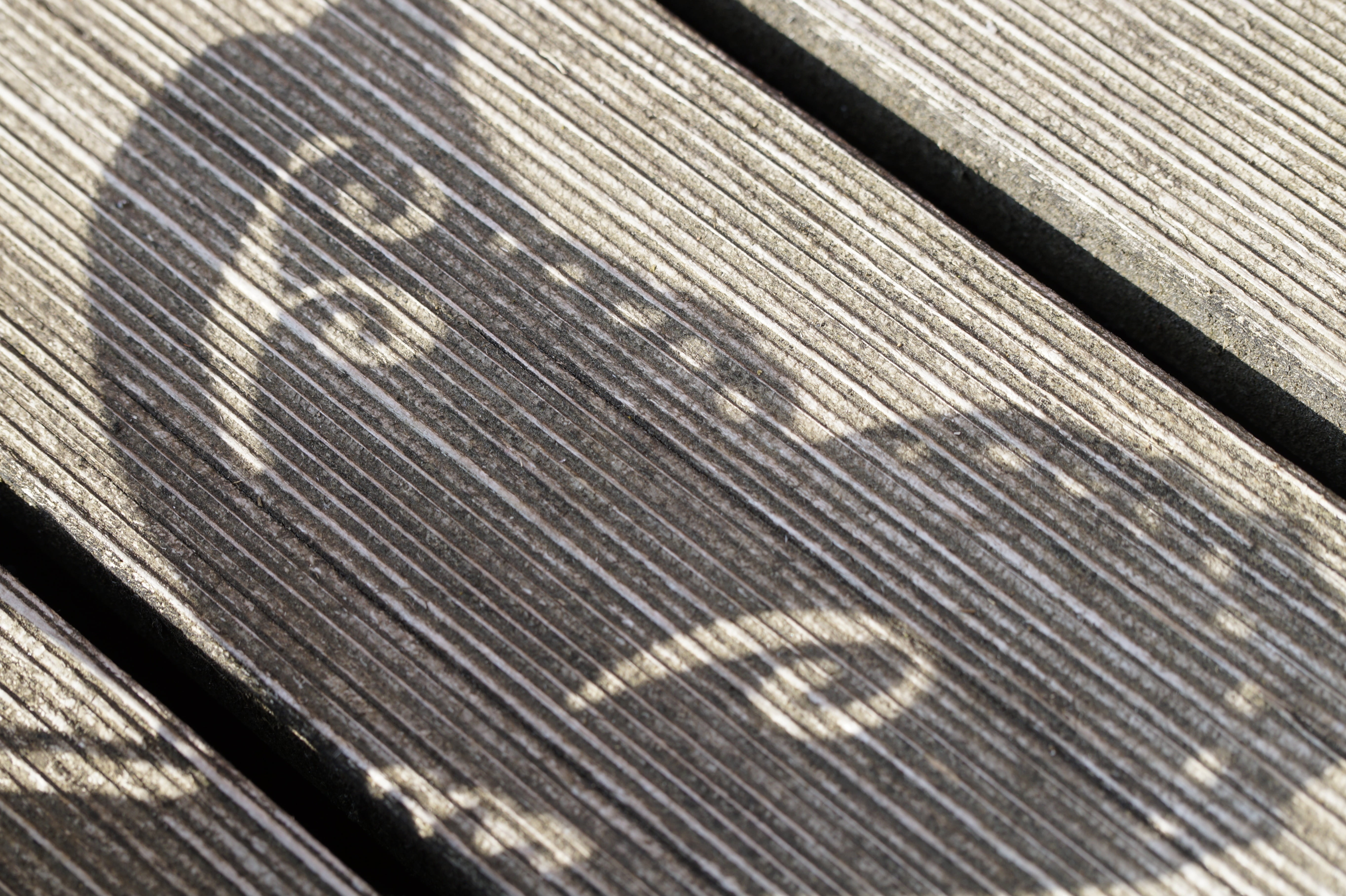wood grain, day, textured, table, wood, metal, 5K, old, selective focus, backgrounds, sunlight, butterfly wings, no people, directly above, nature, indoors, HD Wallpaper