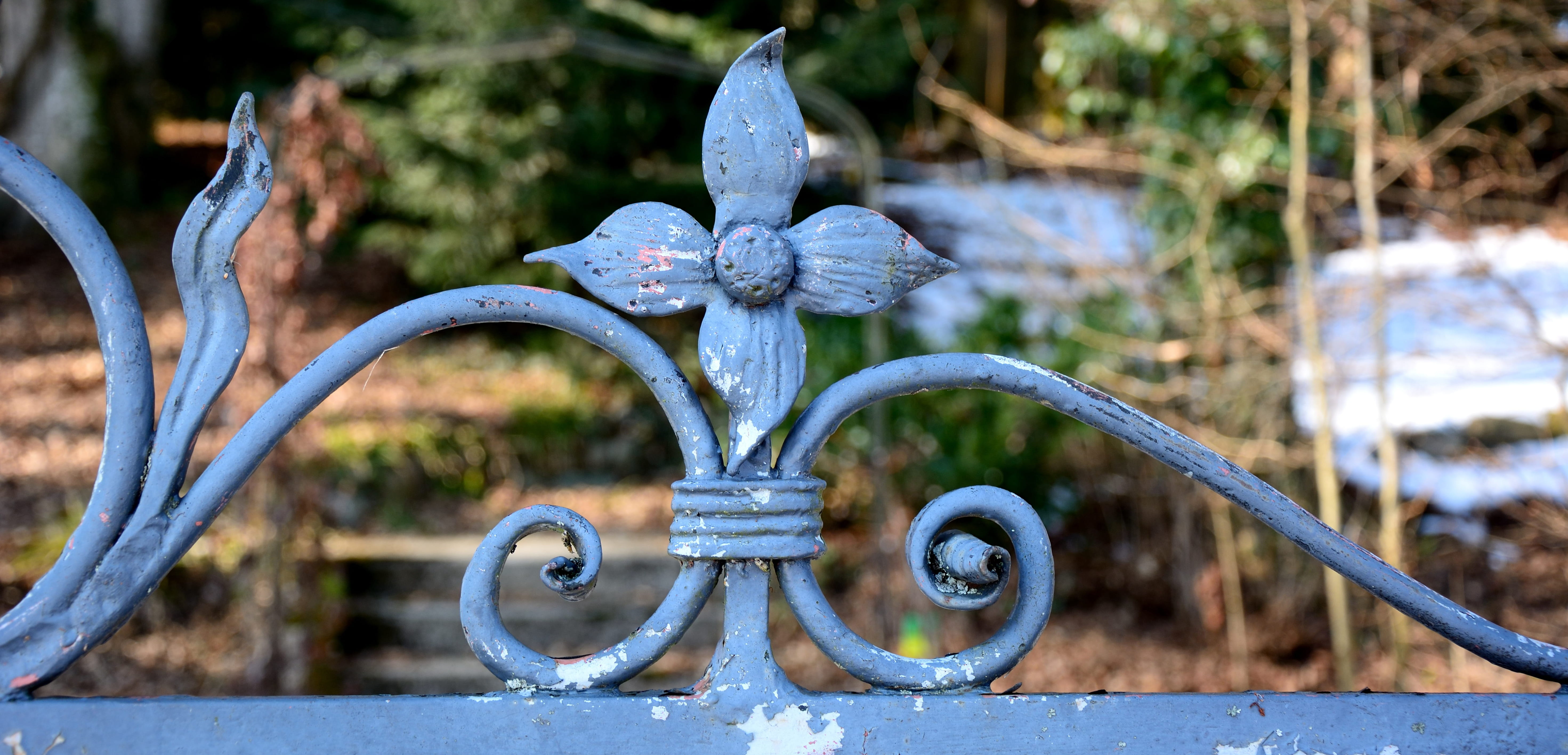antique, 5K, safety, barrier, focus on foreground, outdoors, close-up, decorative, sunlight, protection, verschnörkelt, goal, iron, nature, railing, flower, HD Wallpaper