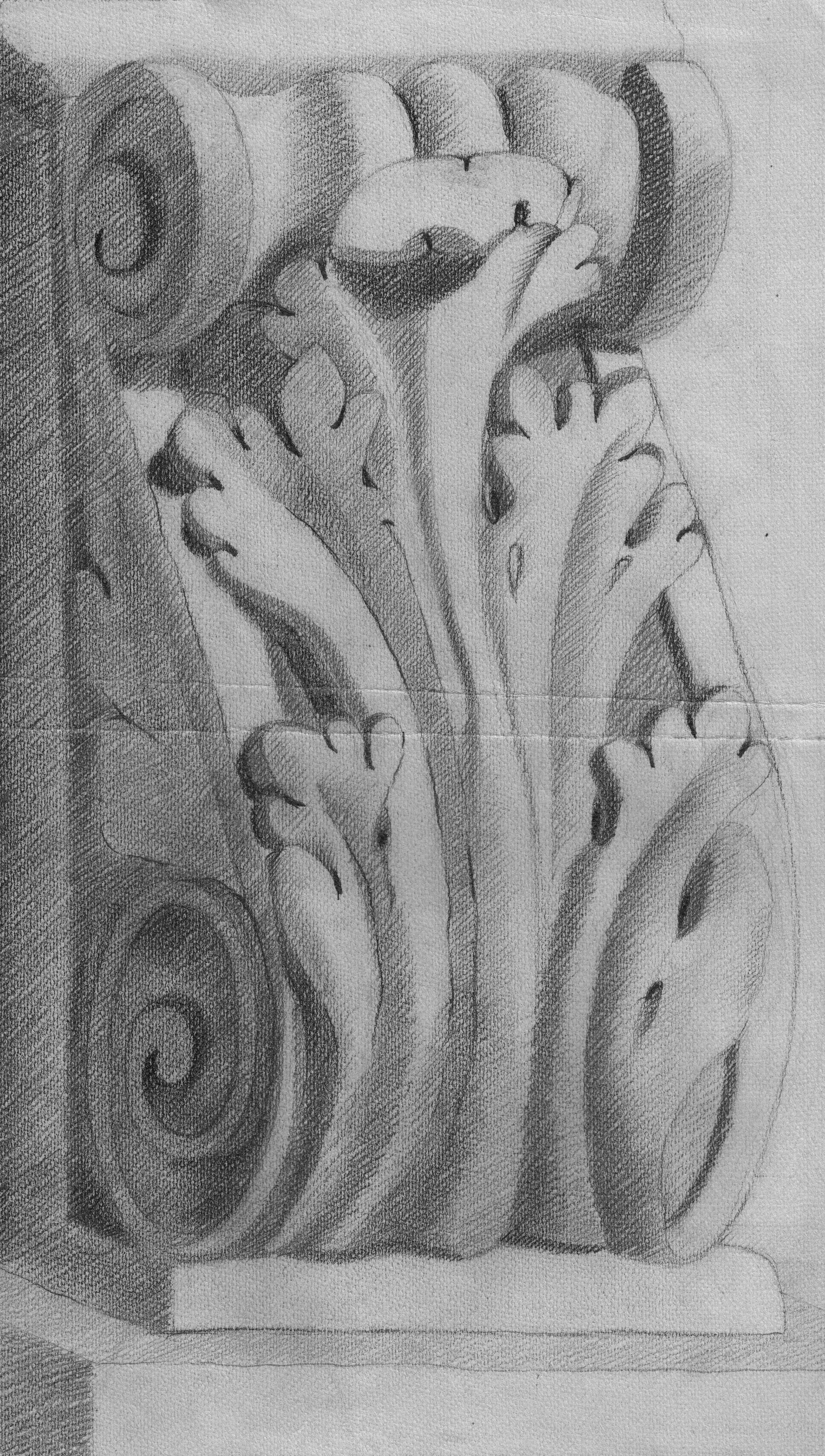 pattern, carving, art and craft, spiral, animal, indoors, capital, design, animal themes, floral, ornament, church art, business, high angle view, table, Phone HD Wallpaper