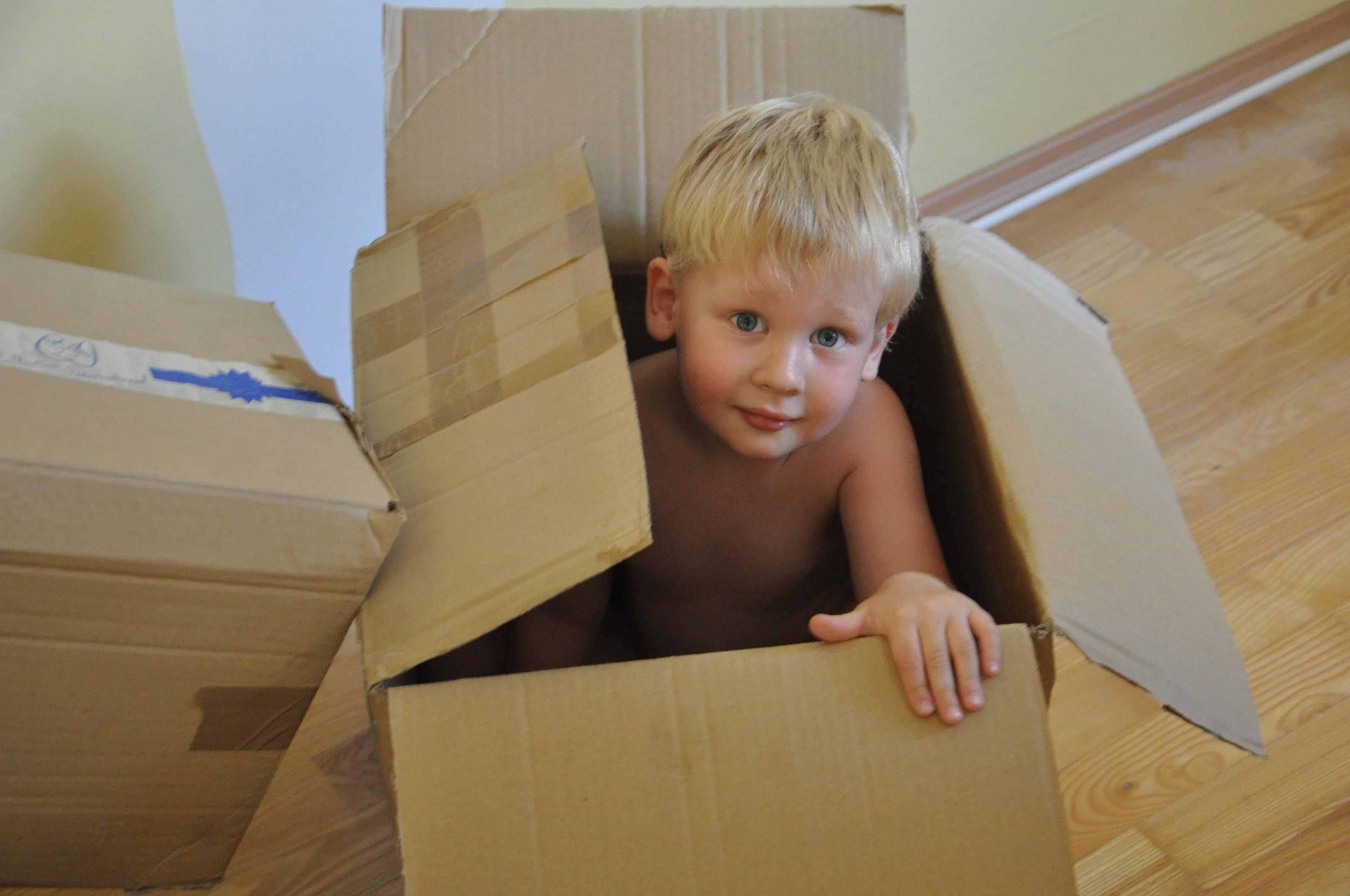 innocence, inside, offspring, headshot, men, child, box, one person, childhood, kid, cardboard box, emotion, 2K, hair, cardboard, males, gift, moving to, HD Wallpaper