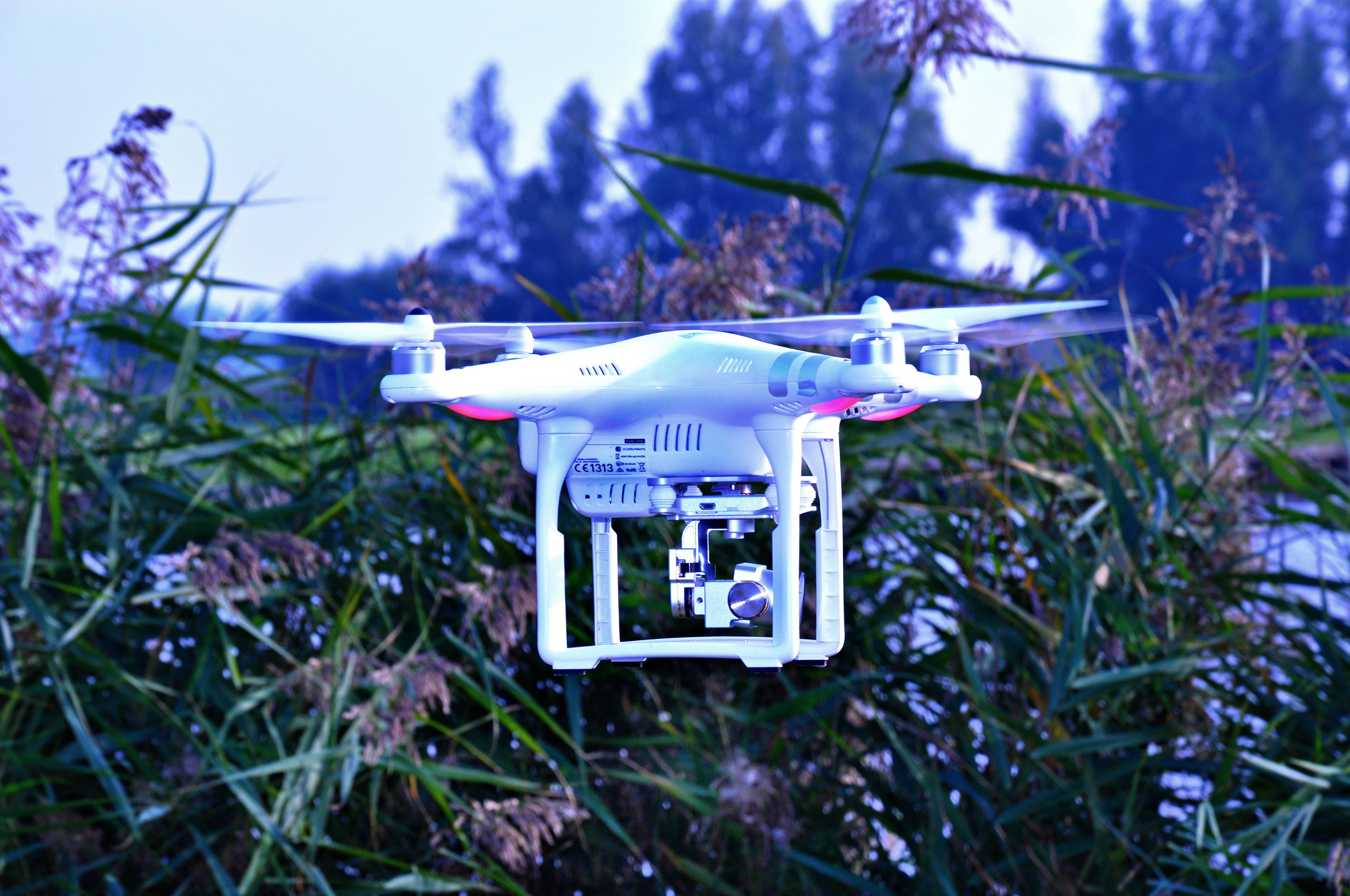 remote, aviation, text, rotorcraft, leaf, green, information sign, air vehicle, airplane, information, daytime, no people, drone, dji, near, tree, unmanned, HD Wallpaper