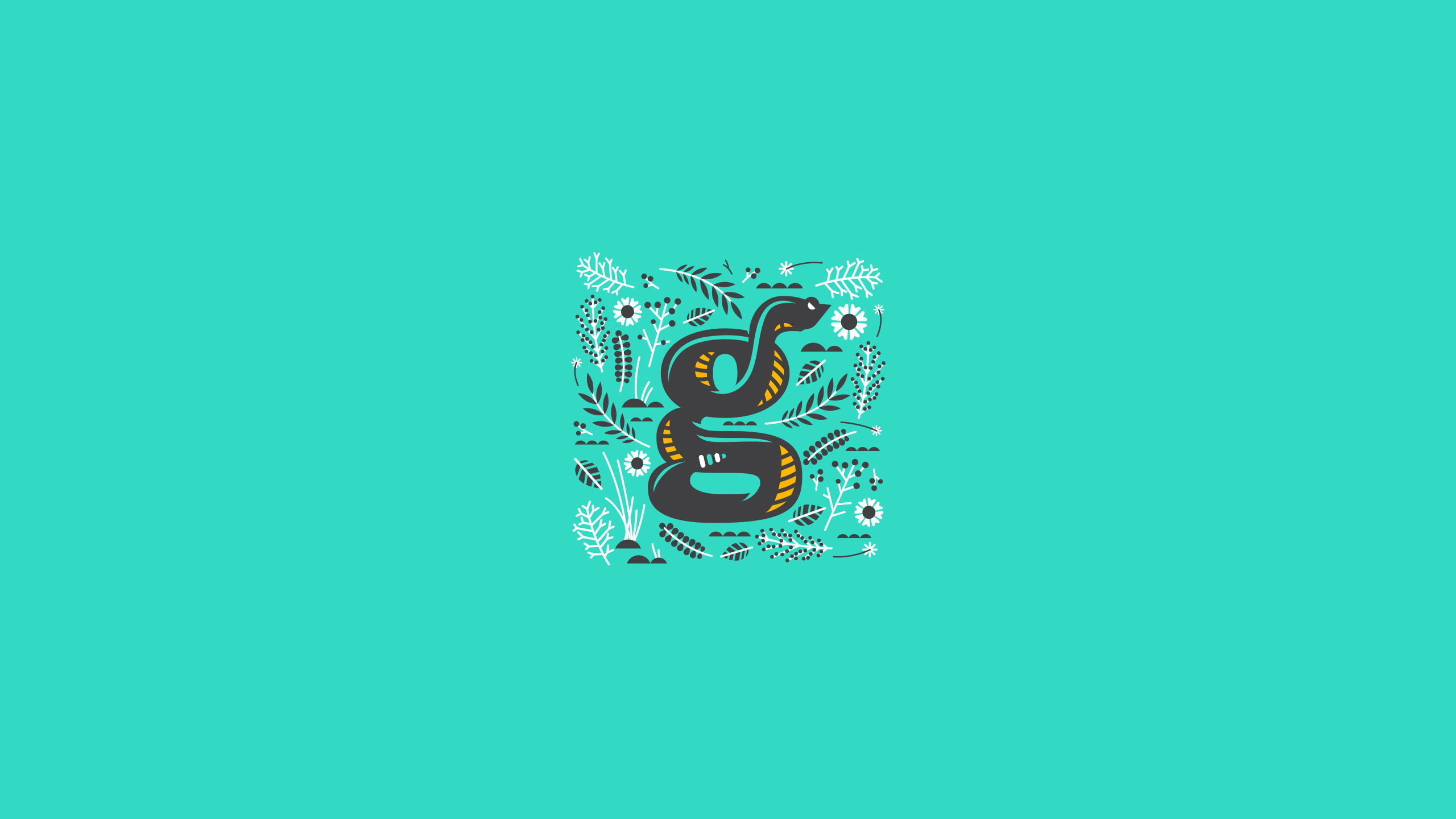 equipment, colored background, close-up, turquoise, snake, time, typography, number, representation, technology, cyan background, still life, gear, creativity, HD Wallpaper