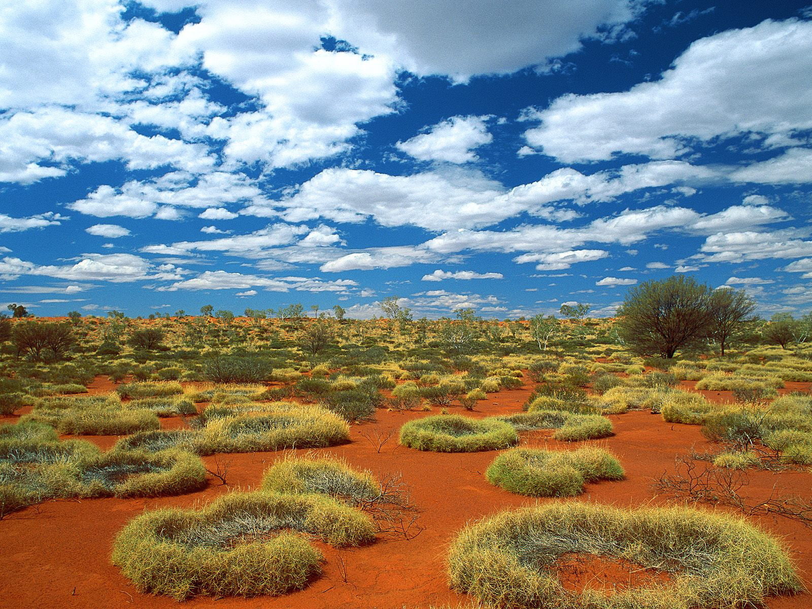 sandy, desert, little, rings, old, sy, 720P, australia, spinifex, HD Wallpaper