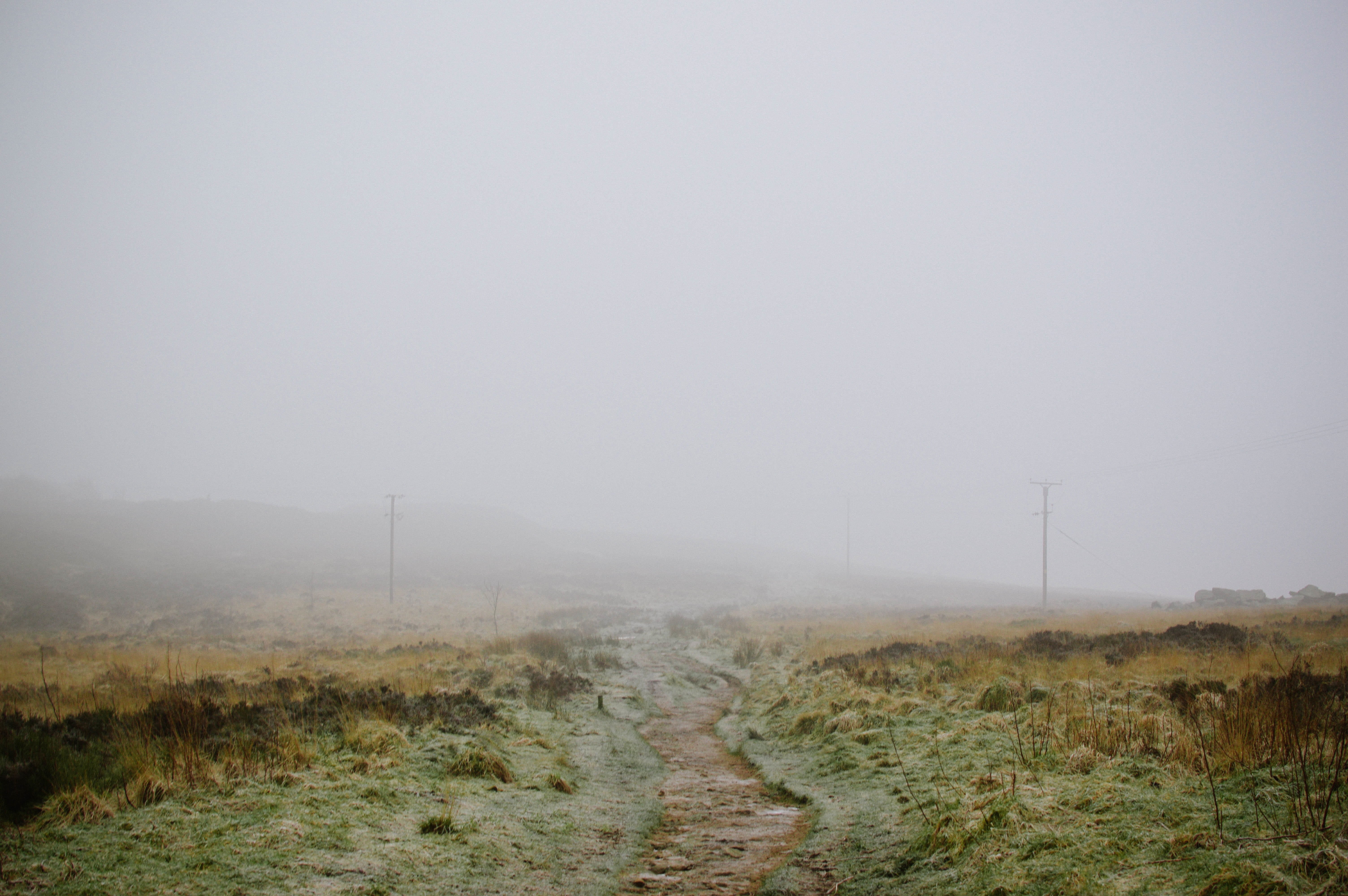 field, no people, road, photo, scenics - nature, copy space, fog, land, sy, plant, outdoors, sky, day, beauty in nature, tranquility, soil, gray, brown, HD Wallpaper