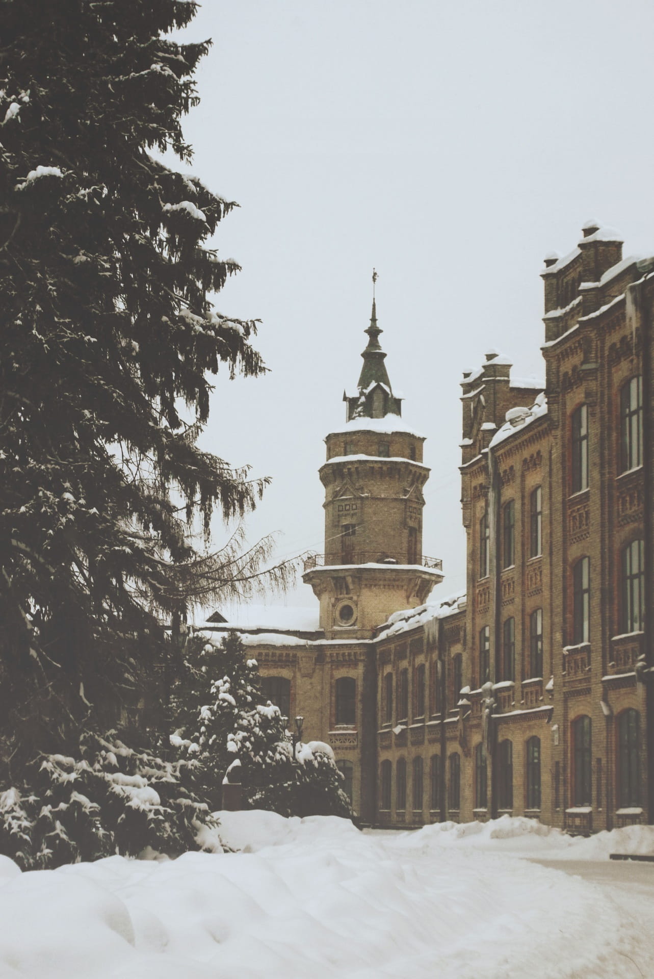 snowing, no people, history, low angle view, outdoors, Kpi, frozen, castle, Trees, Winter, tree, 1080P, religion, building, building Exterior, clear sky, Phone HD Wallpaper