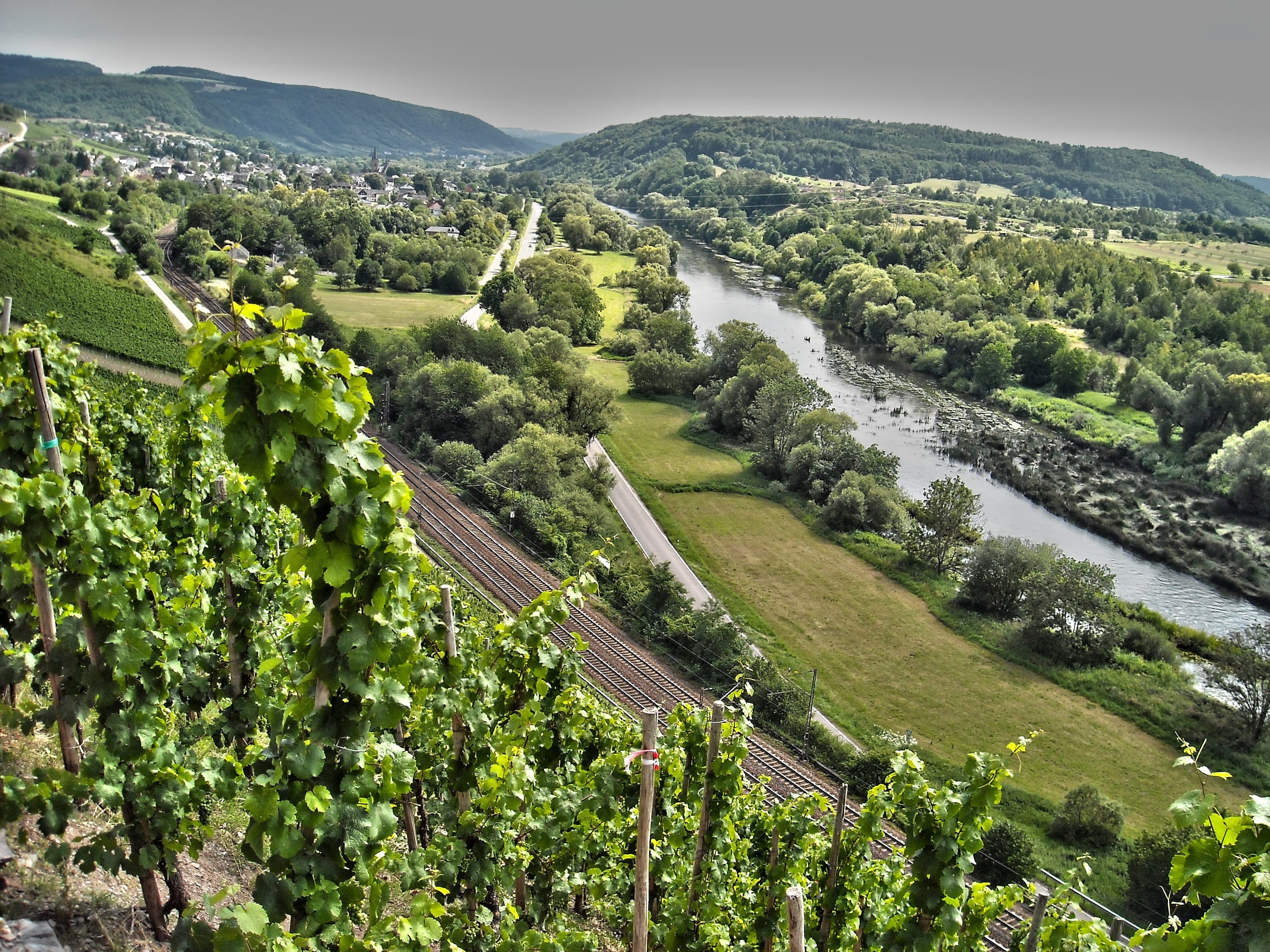 land, landscape, river, saar, 2K, plantation, winemaking, vineyard, outdoors, crop, tree, environment, beauty in nature, water, plant, no people, farm, HD Wallpaper