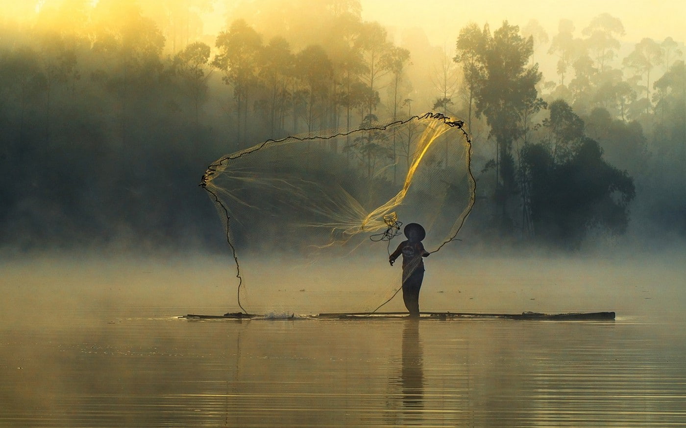 water, 720P, fisherman, occupation, plant, tranquility, forest, reflection, people, adult, human arm, holding, nature landscape sunrise mist forest fisherman fishing nets river trees boat, HD Wallpaper