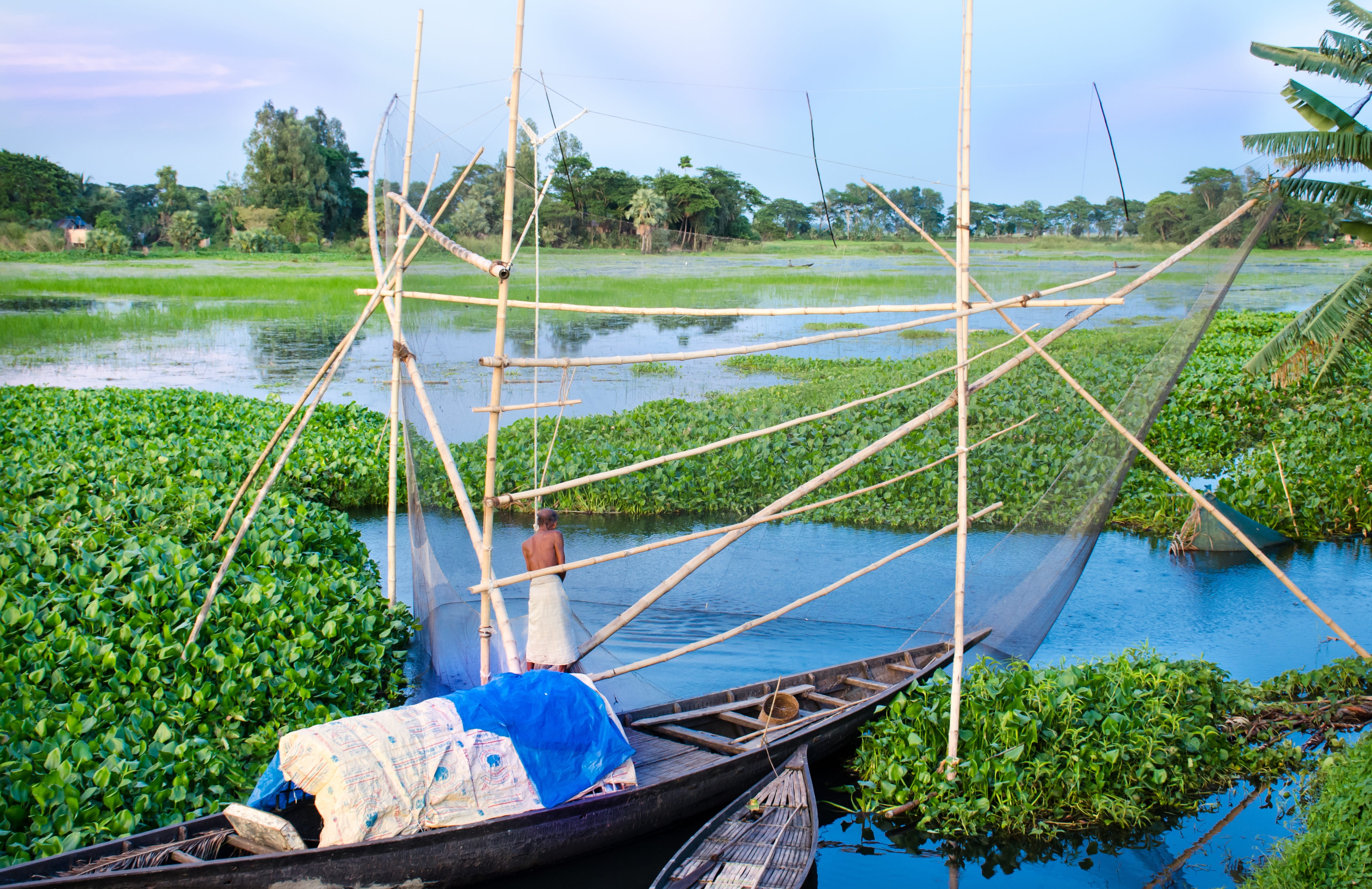 tranquility, outdoors, day, lake, sky, water, bamboo, net, beauty in nature, boat, tree, mode of transportation, green color, 4K, village, nature, fishing, HD Wallpaper