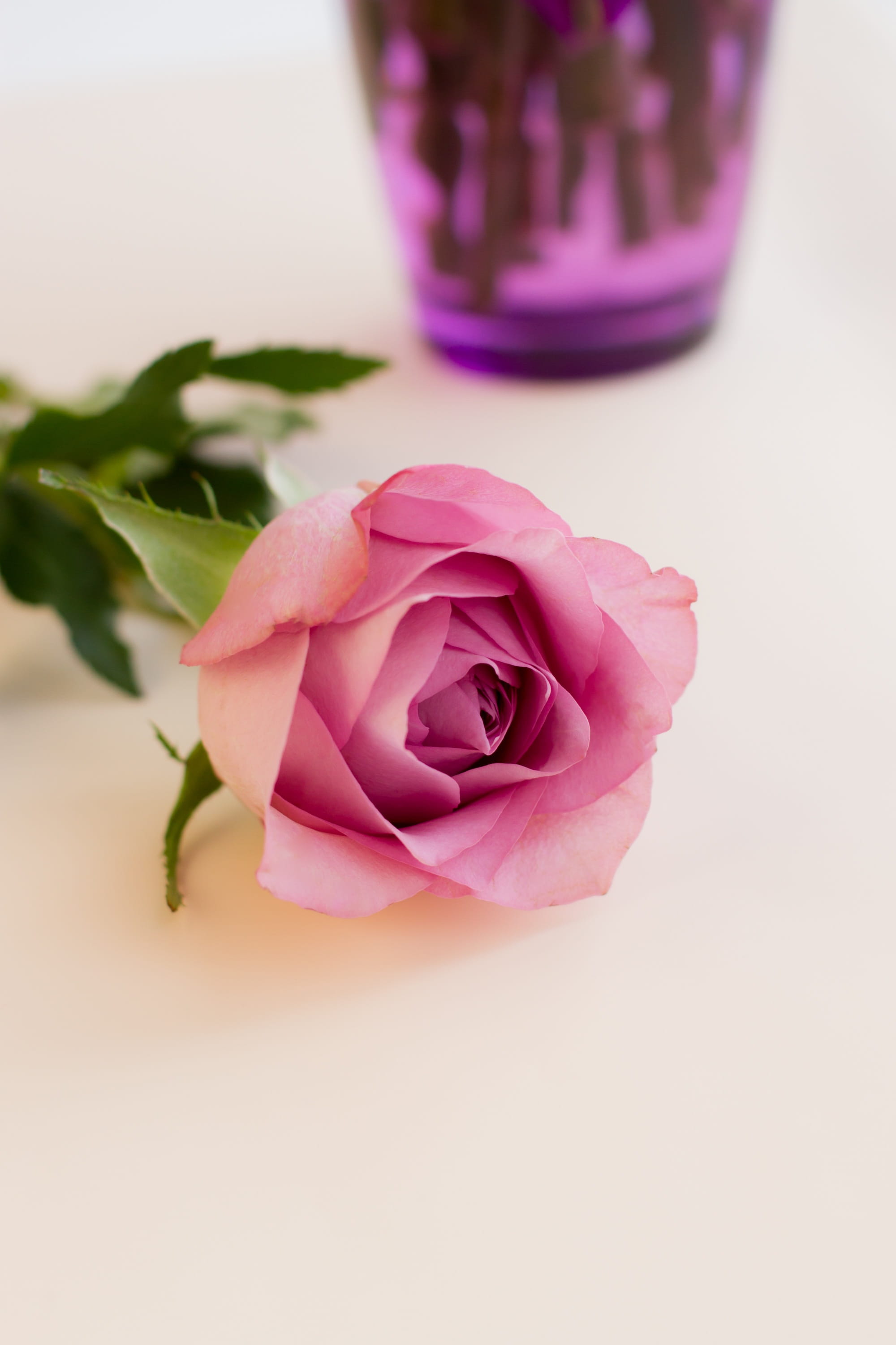 beauty, no people, rose, bcelebration, red, vase, event, focus on foreground, beauty in nature, green, valentine, lilac, romantic, freshness, floral, natural, Phone HD Wallpaper