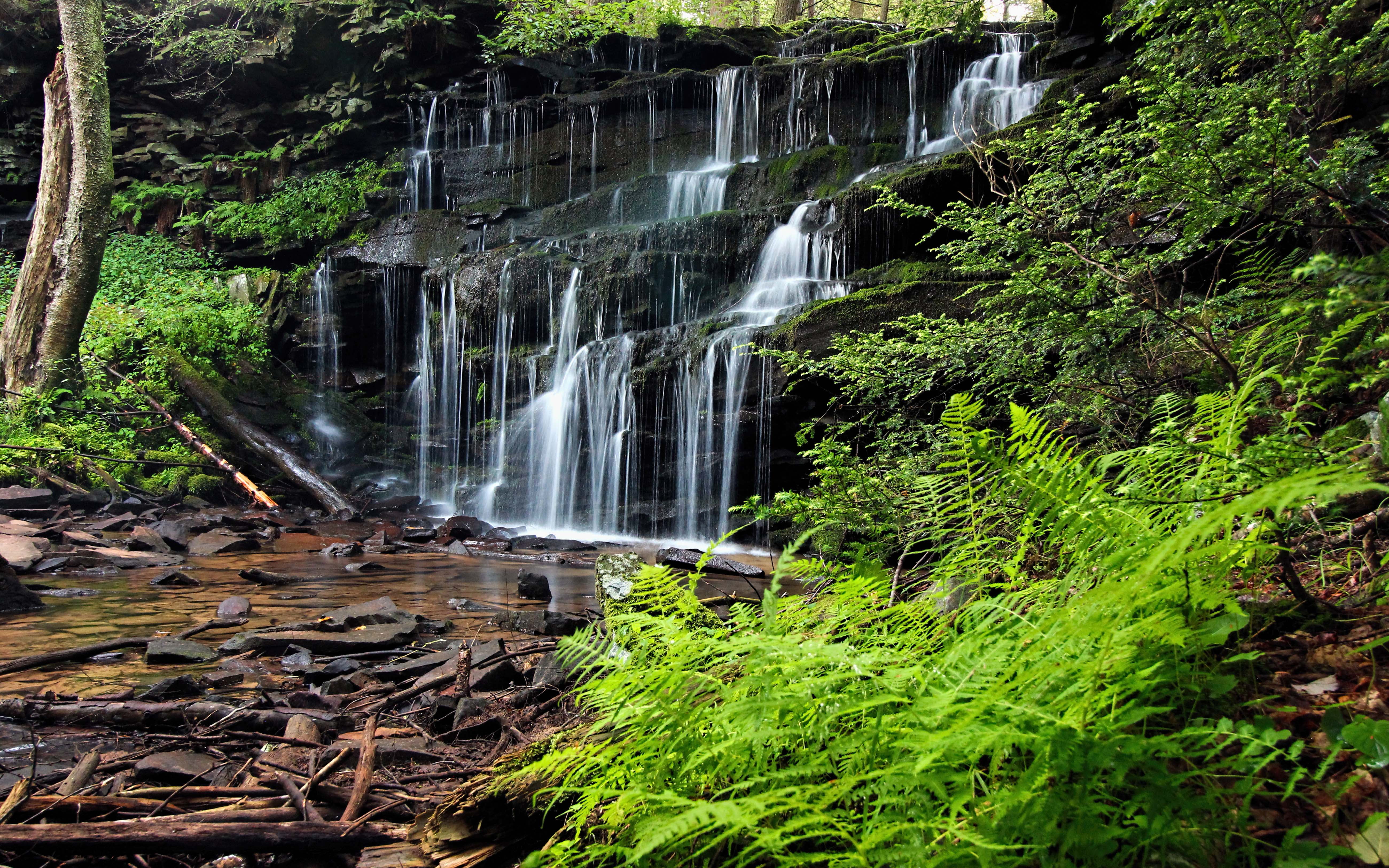 scenics - nature, tree, clinton, reservoir, long exposure, county, forest, united, states, beauty in nature, water, pennsylvania, no people, landscape, HD Wallpaper