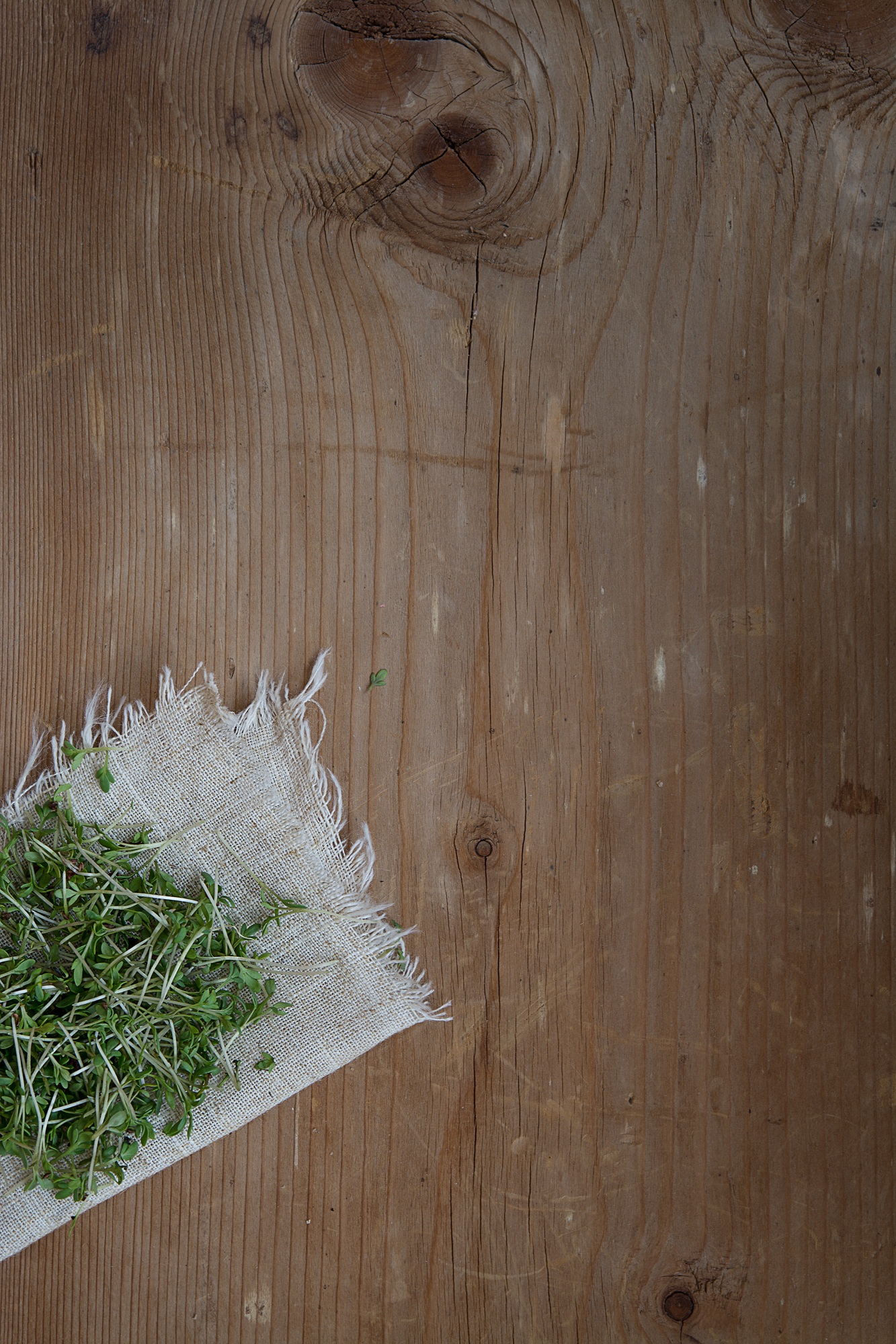 close-up, text dom, wood grain, high angle view, brown, nature, plank, seedling, still life, close, flooring, 1080P, rustic, old, no people, healthy, indoors, Phone HD Wallpaper