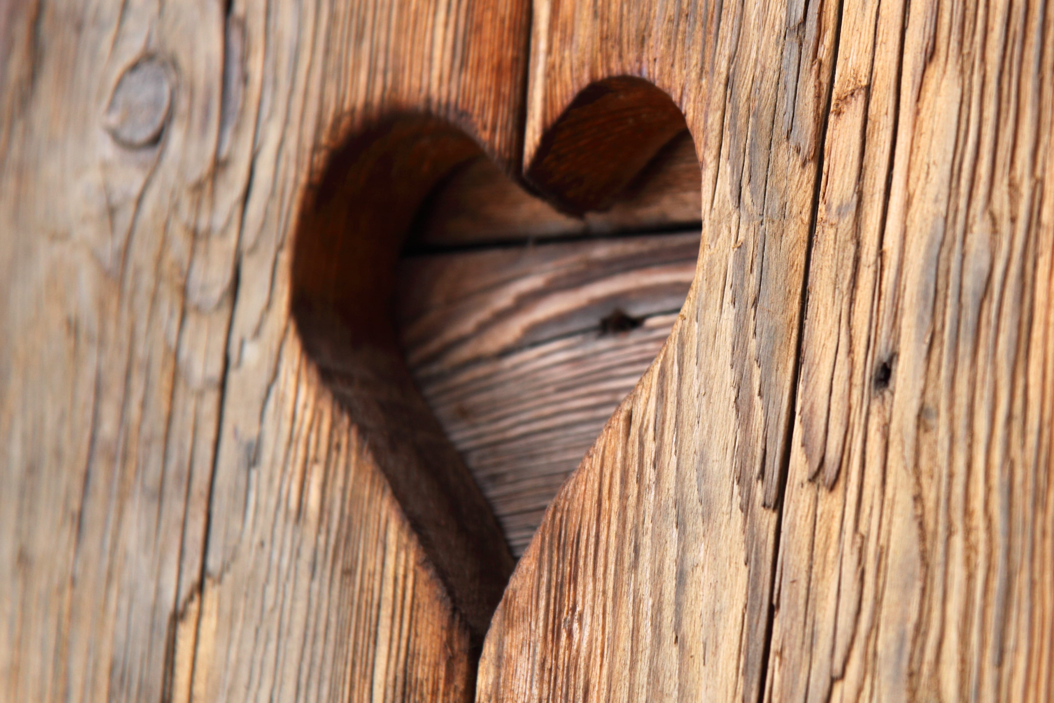 board, textured, creativity, valentines day - holiday, shape, 2K, engrave, pattern, no people, photography, heart, basket, design, wood, love, valentine, HD Wallpaper