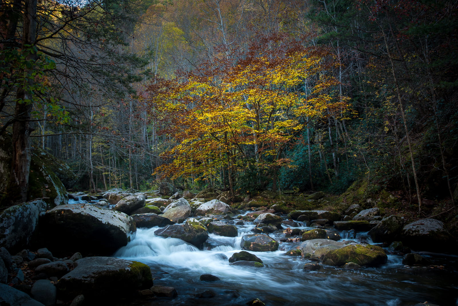 townsend, color, landscape, 720P, trees, forest, stream, tree, scenics, autumn, leaf, rocks, waterfall, woodland, Part 1, tn, fall  river, beauty In Nature, HD Wallpaper