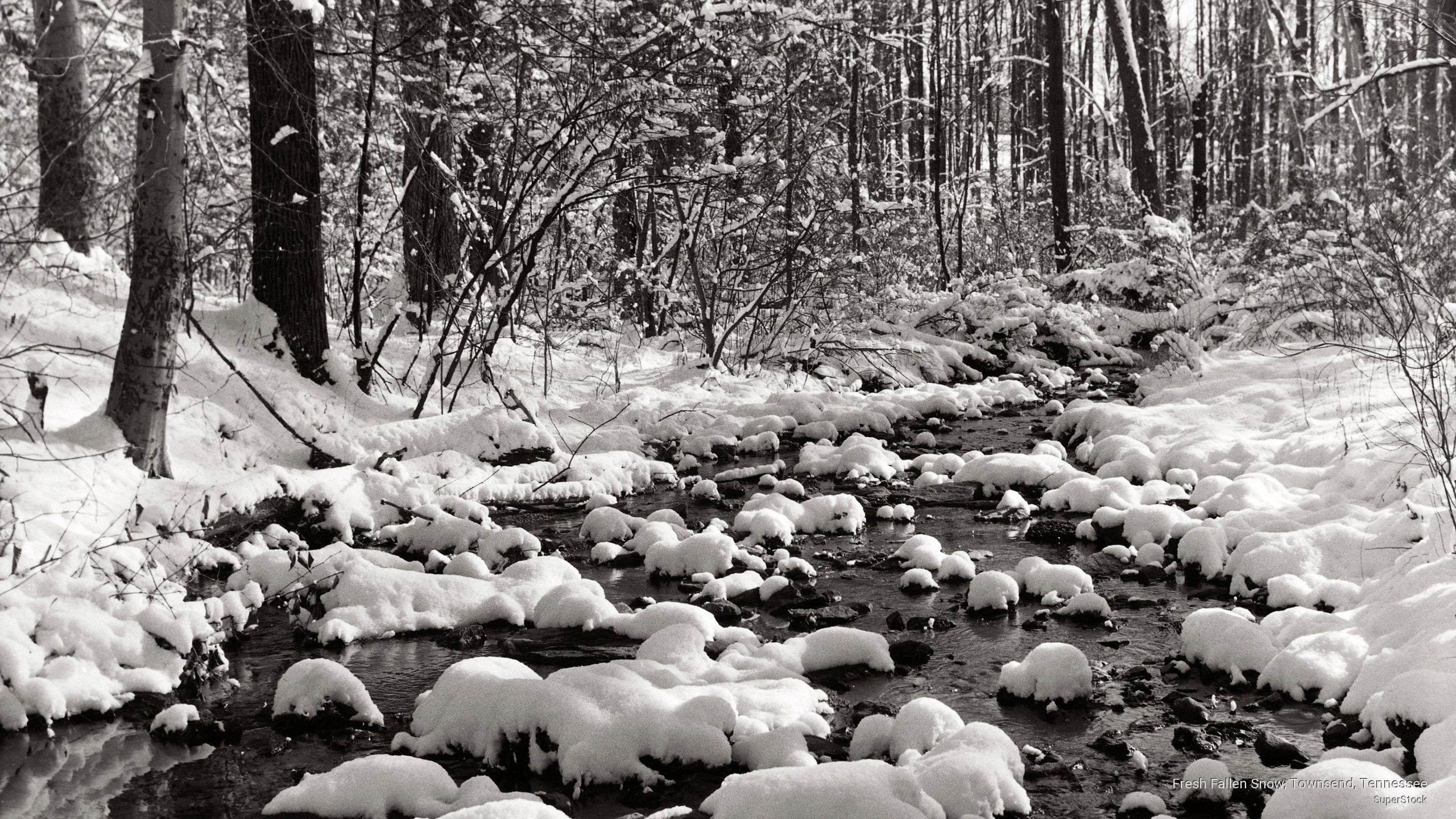 townsend, tennessee, 2K, snow, fallen, fresh, Winter, HD Wallpaper