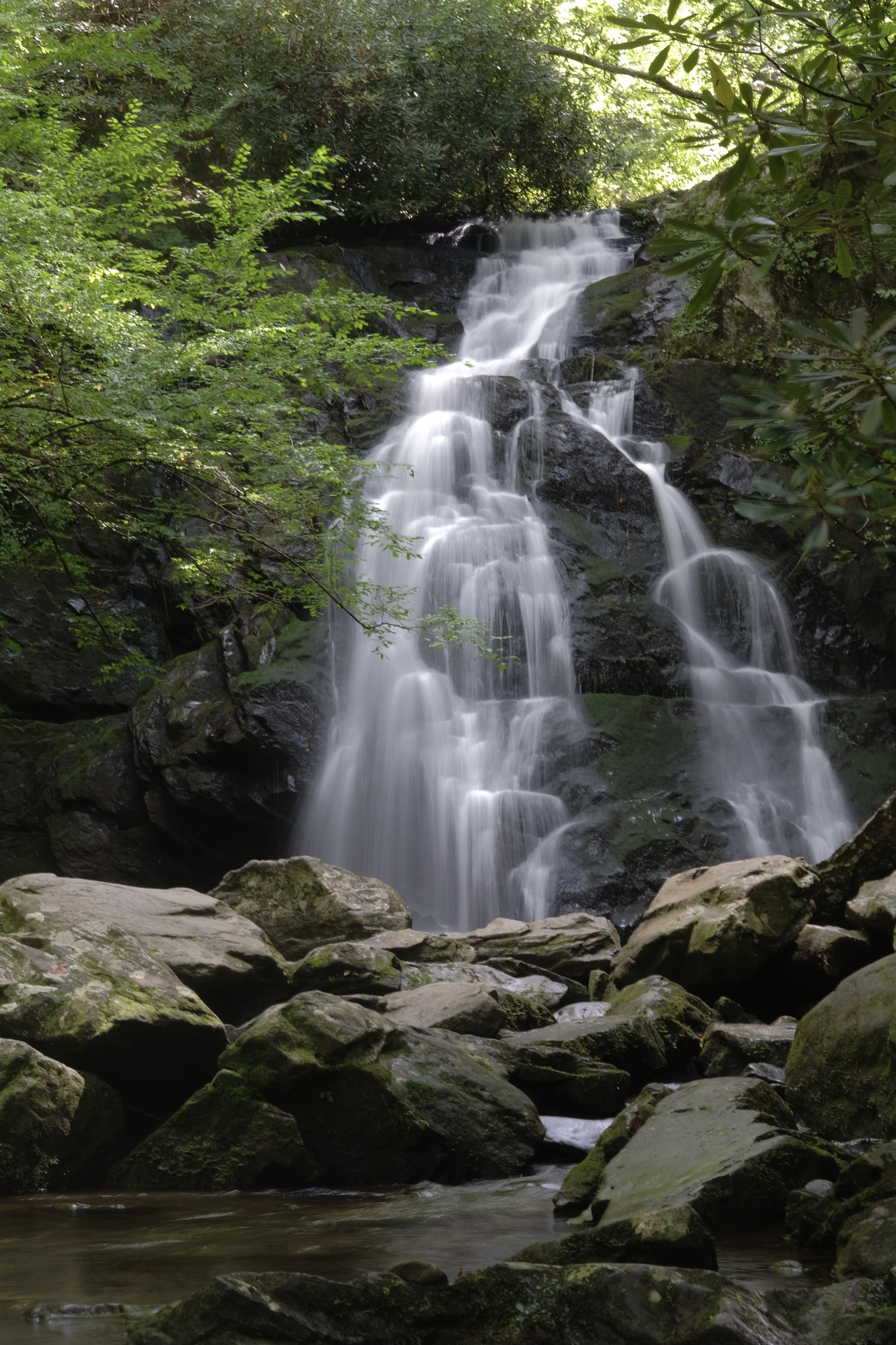 no people, nature, townsend, tree, blurred motion, creek, solid, power in nature, land, rock, beauty in nature, river, long exposure, day, water, outdoors, Phone HD Wallpaper