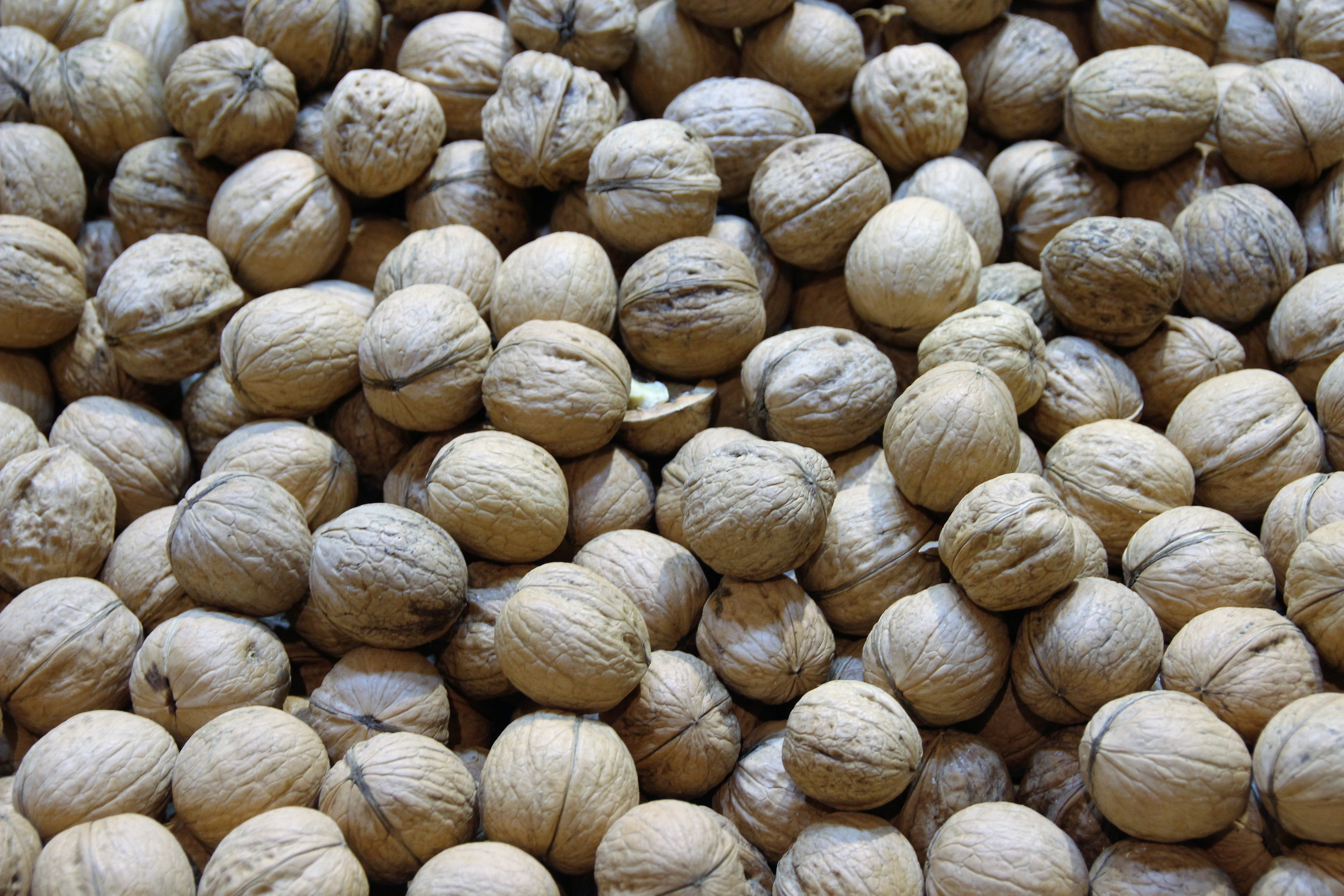 nut - food, no people, brown, retail, tree, food and drink, christmas, day, bake, peanuts, 5K, market, advent, shell, healthy eating, still life, cake, HD Wallpaper