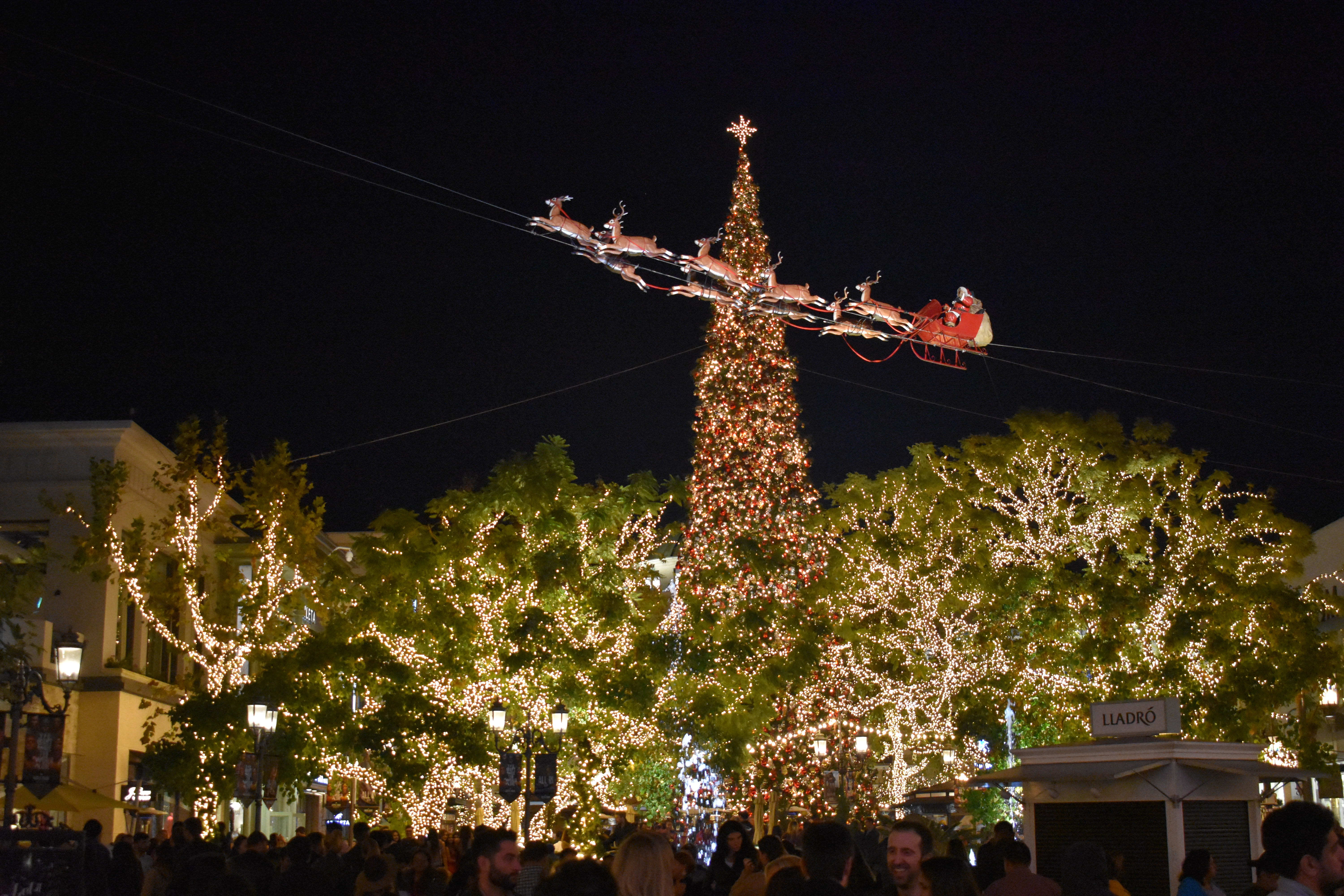 the grove, plant, christmas tree, lights, religion, christmas ornament, night, decoration, united states, christmas lights, illuminated, built structure, HD Wallpaper