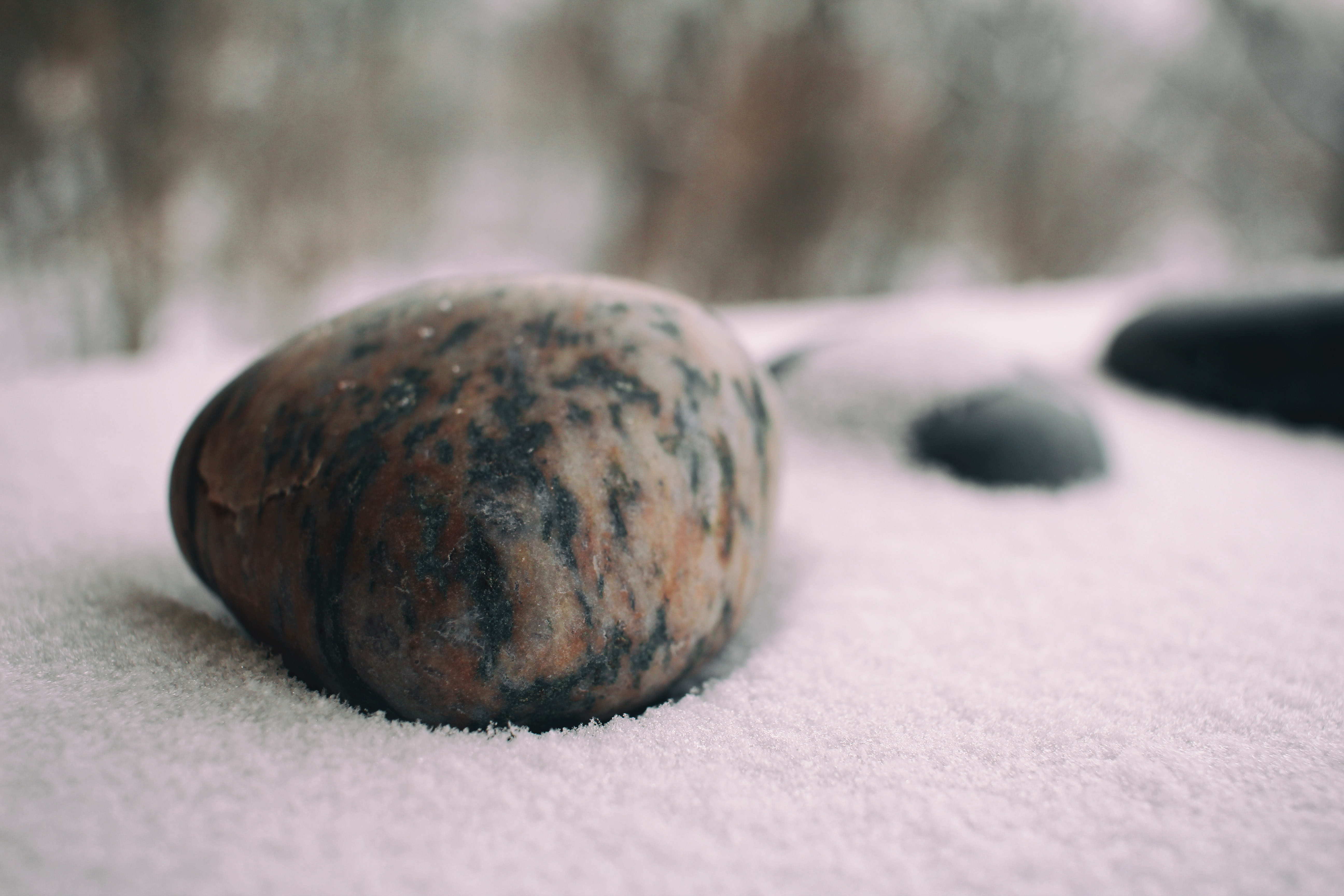 day, buffalo, focus on foreground, still life, woods, no people, rock, nature, cold temperature, indoors, tree, healthy eating, united states, winter, bokeh, HD Wallpaper