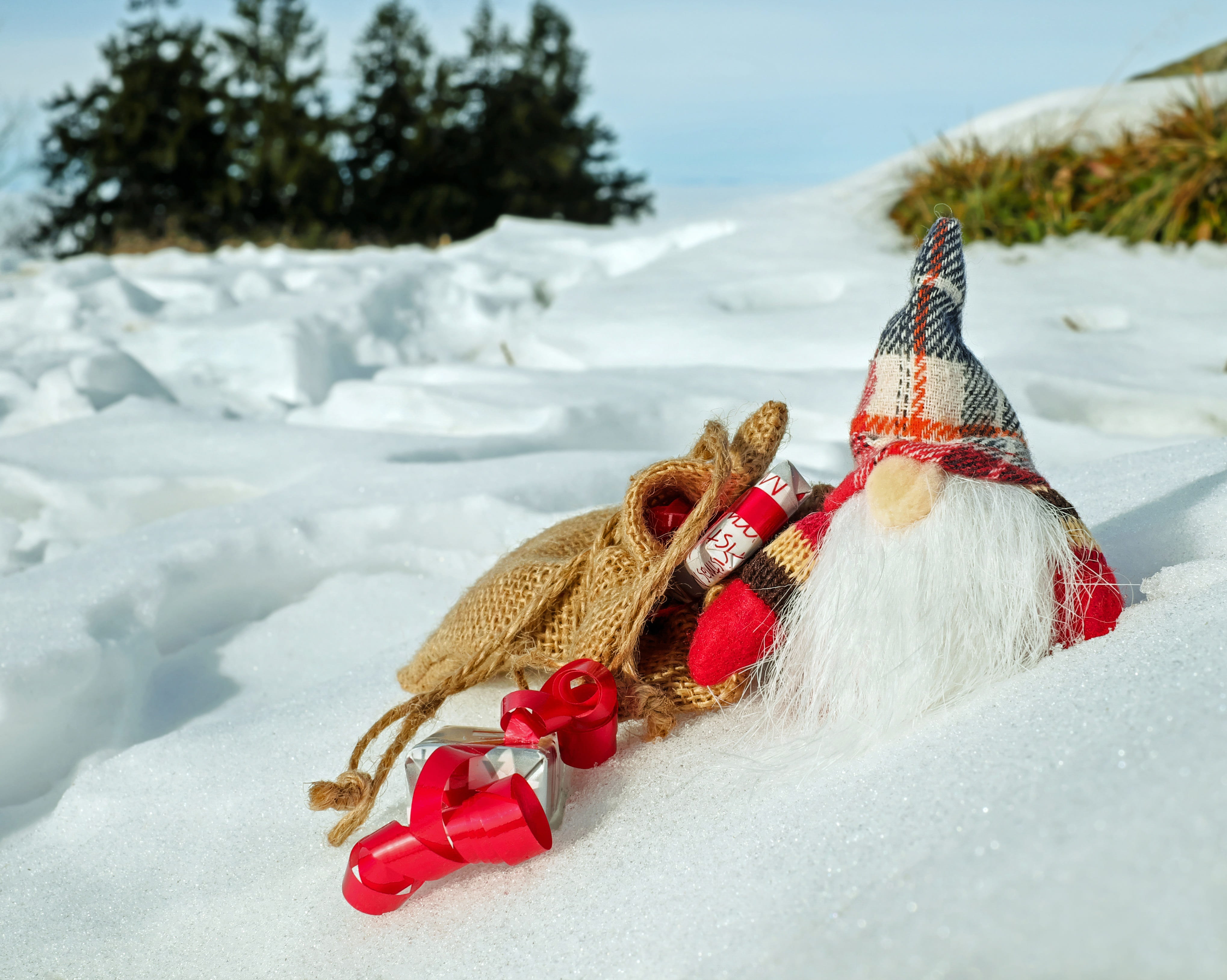 figure, plush, packed, cute, hat, nature, white color, snow, no people, christmas time, tree, day, toy, santa claus, frozen, cold temperature, 4K, christmas greeting, HD Wallpaper