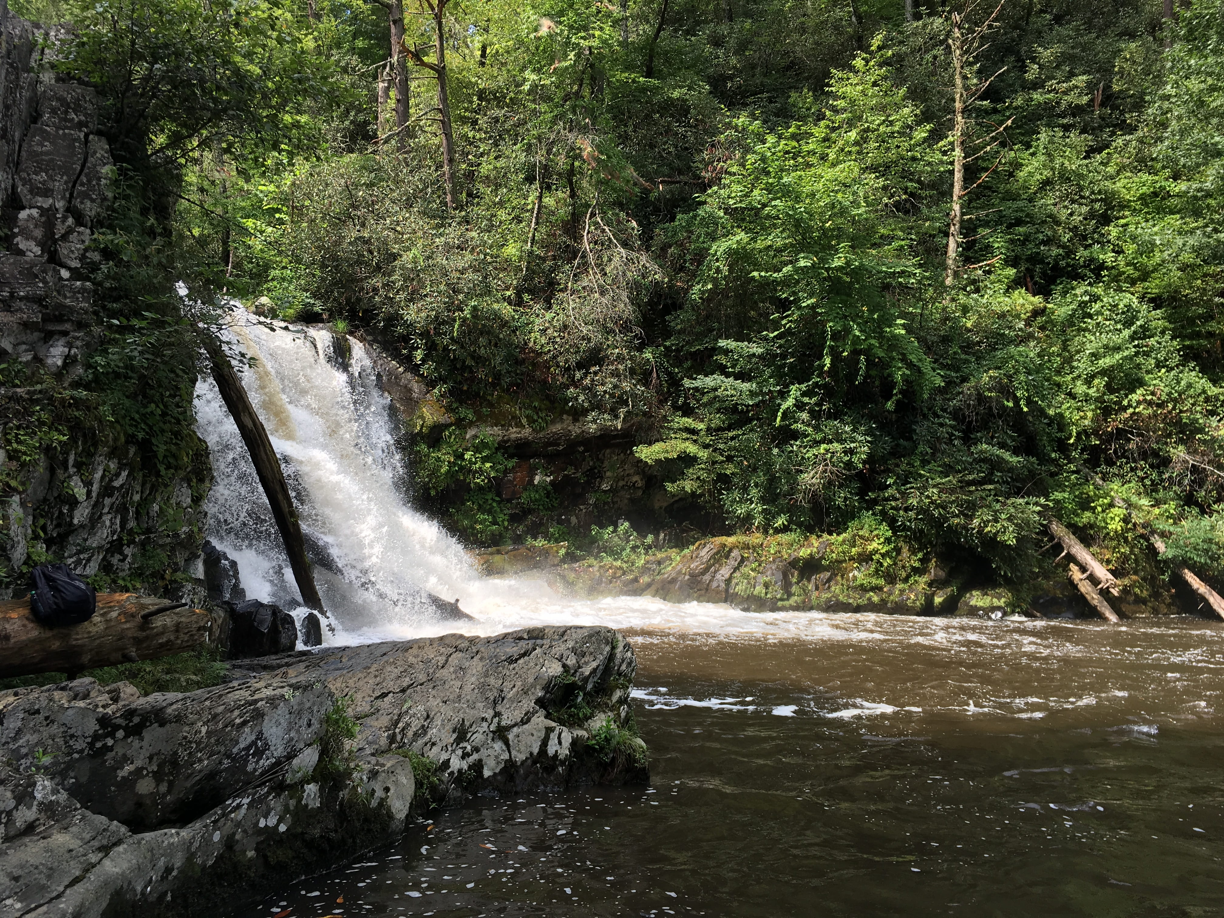 4K, abrams falls trail, stream - flowing water, falling water, power in nature, tree, flowing, townsend, rainforest, land, nature, blurred motion, outdoors, HD Wallpaper