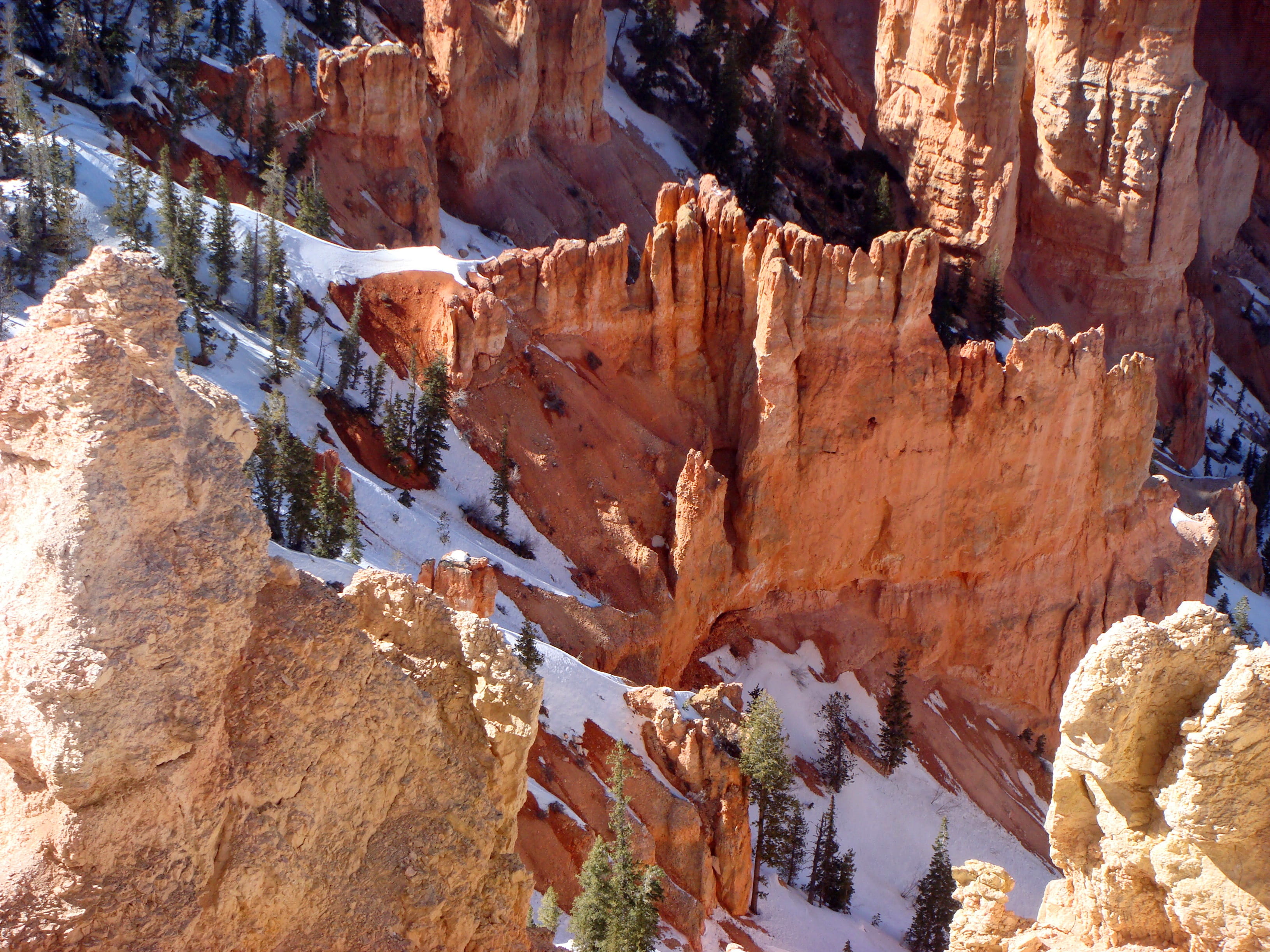 day, national, high angle view, nature, bryce canyon, sunlight, sandstone formations, rock, travel destinations, physical geography, tranquility, non-urban scene, HD Wallpaper