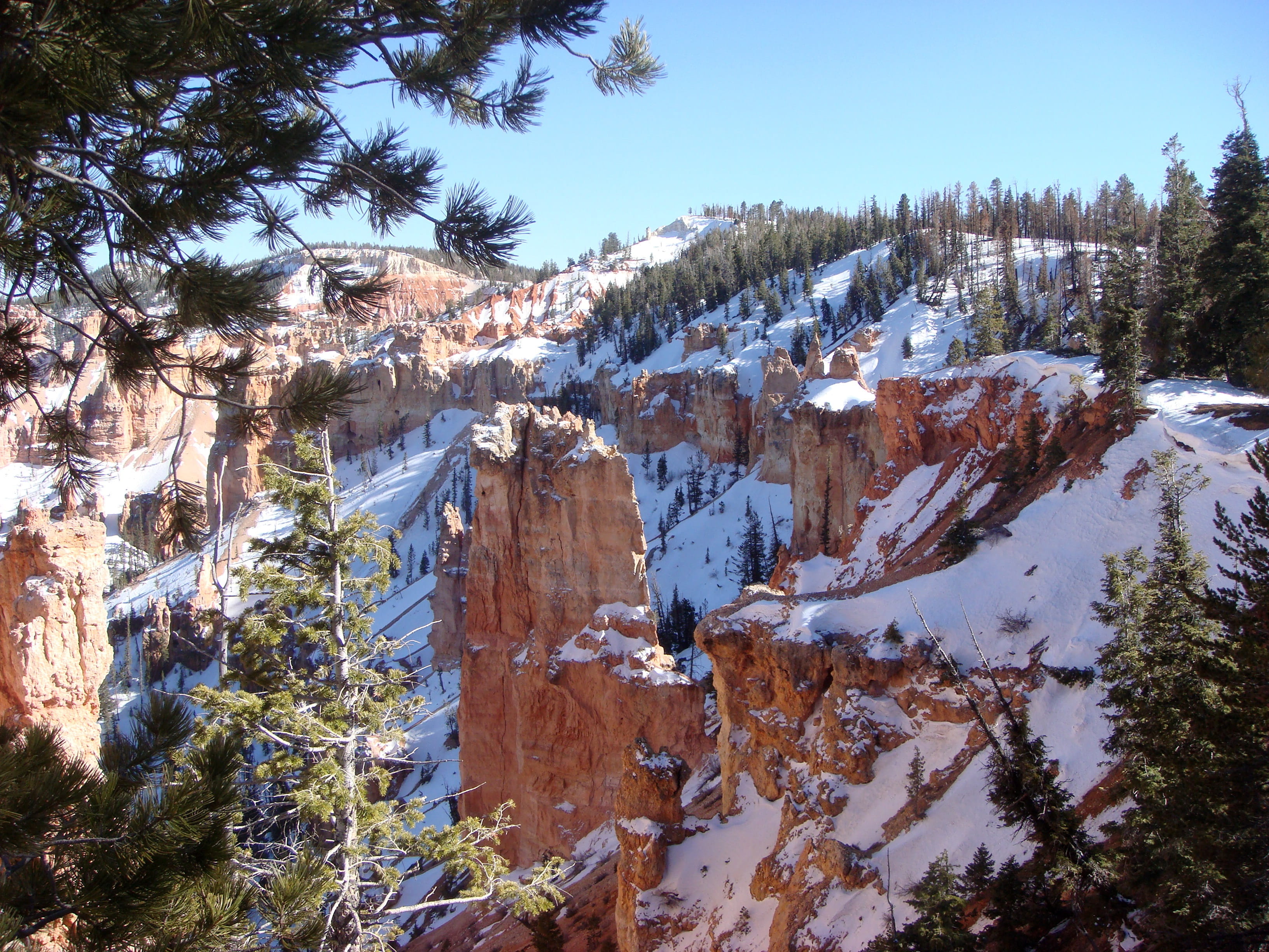 winter, pine tree, cold temperature, national, snow, sandstone formations, no people, nature, scenics - nature, landscape, tranquil scene, tree, beauty in nature, HD Wallpaper