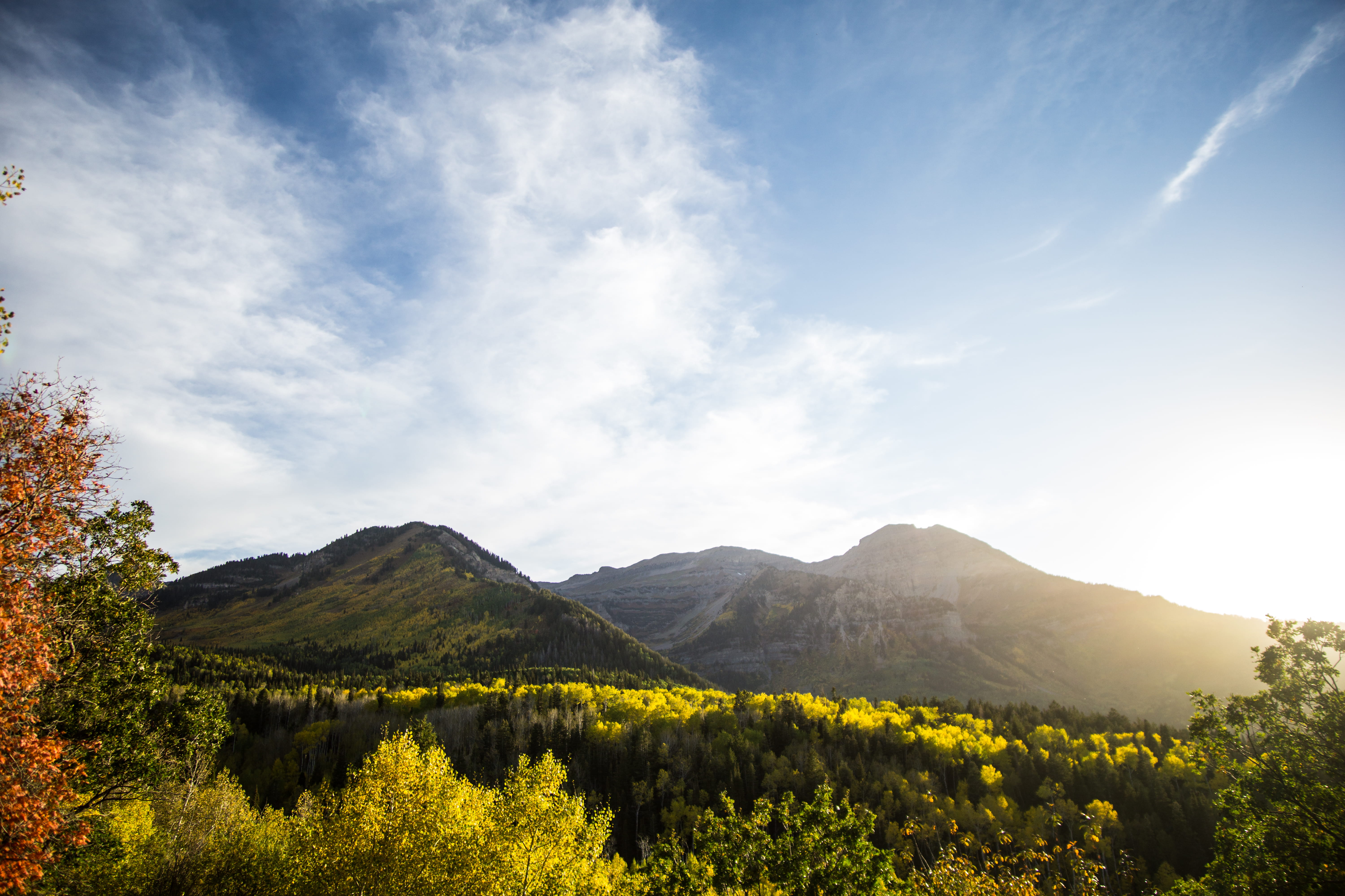 tree, mountain range, yellow, day, united states, plant, 5K, tranquil scene, cloud - sky, fall, beauty in nature, no people, scenics - nature, sky, provo, HD Wallpaper