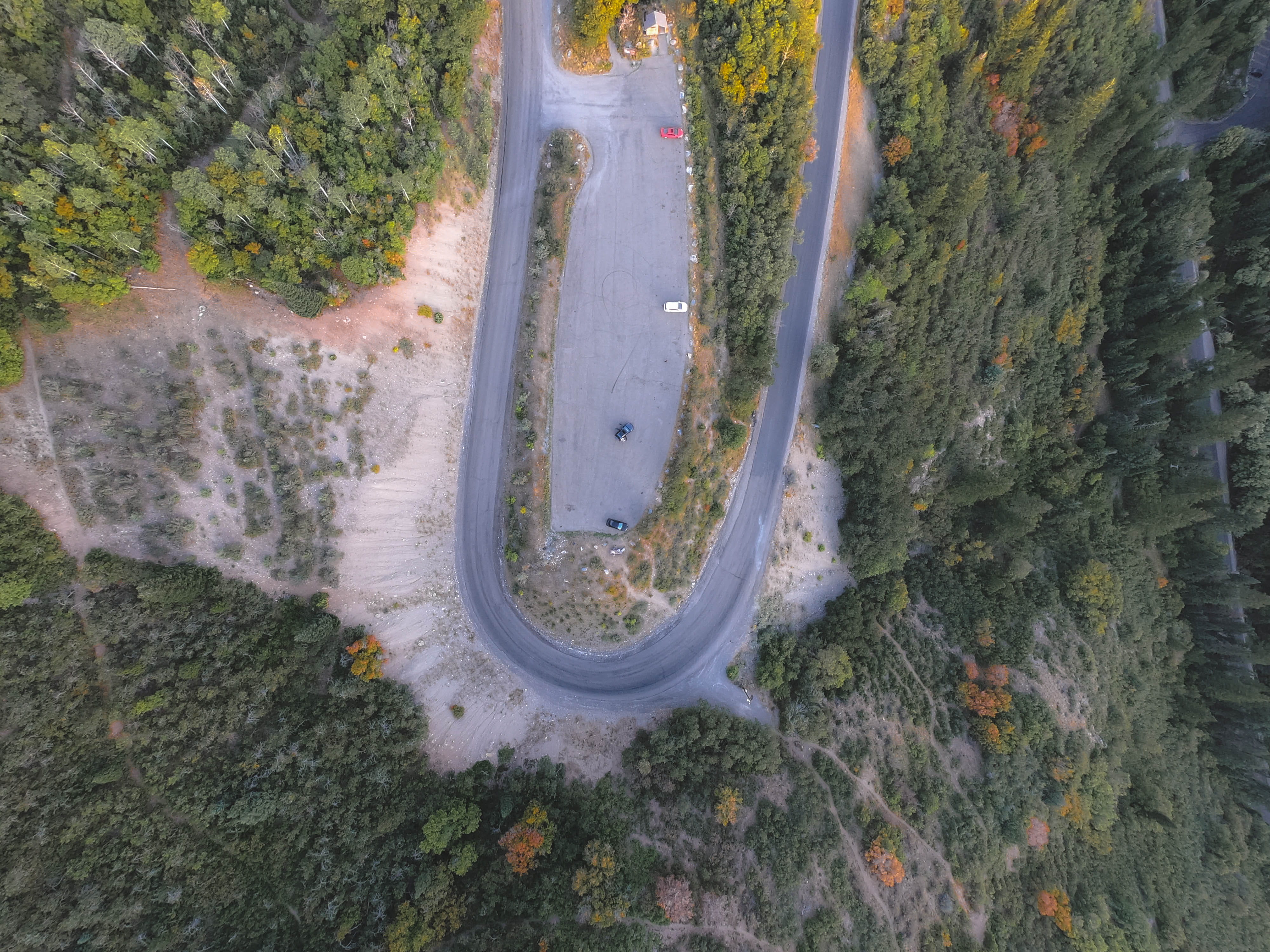 outdoors, u, nature, pumpkin, curve, tree, road, car, mode of transportation, 4K, beauty in nature, high angle view, aerial view, back, no people, switch, HD Wallpaper