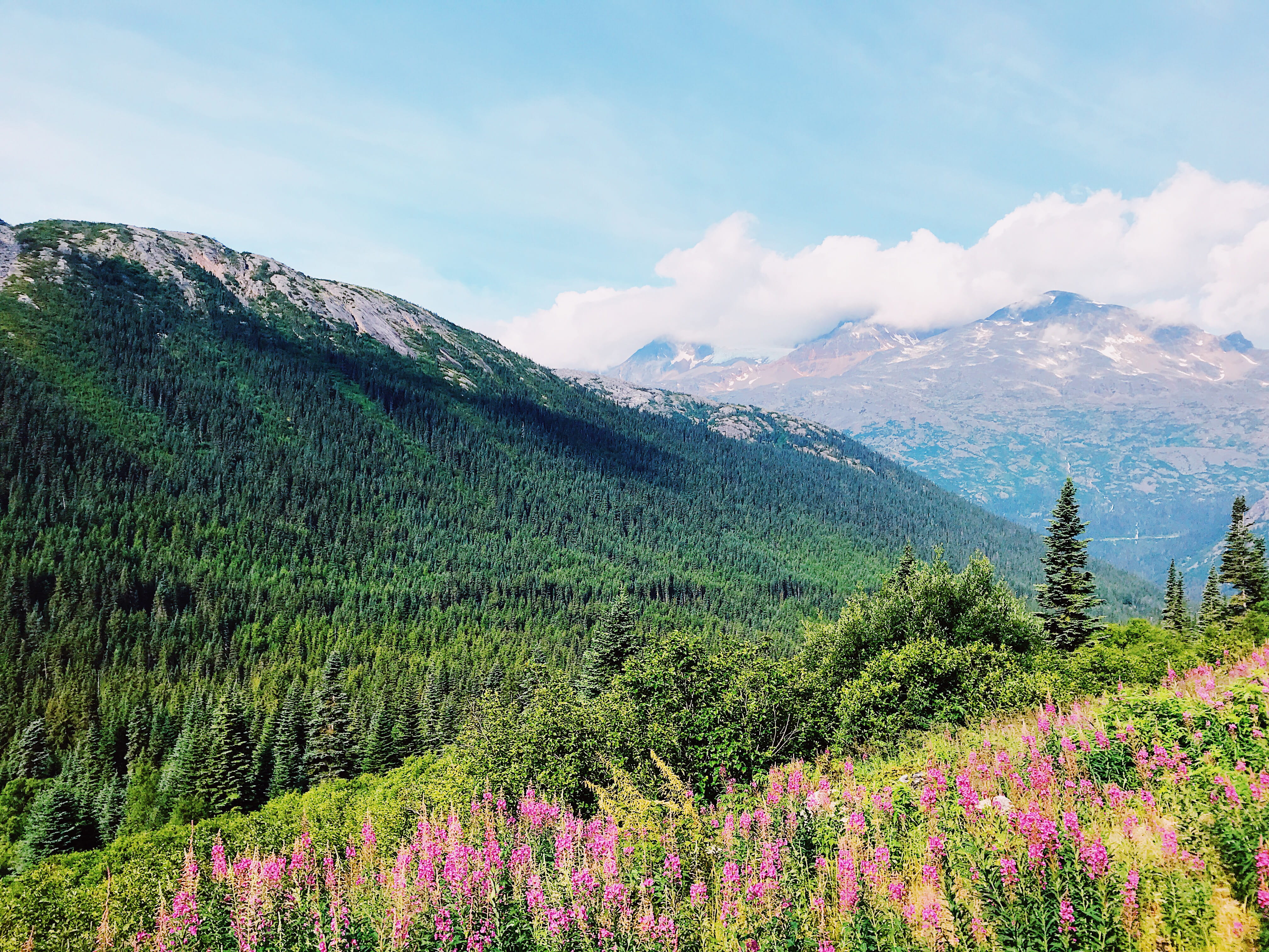 environment, wilderness, alaska, beauty in nature, scenics - nature, mountain range, no people, tranquil scene, skagway, outdoors, landscape, klondike hwy, HD Wallpaper