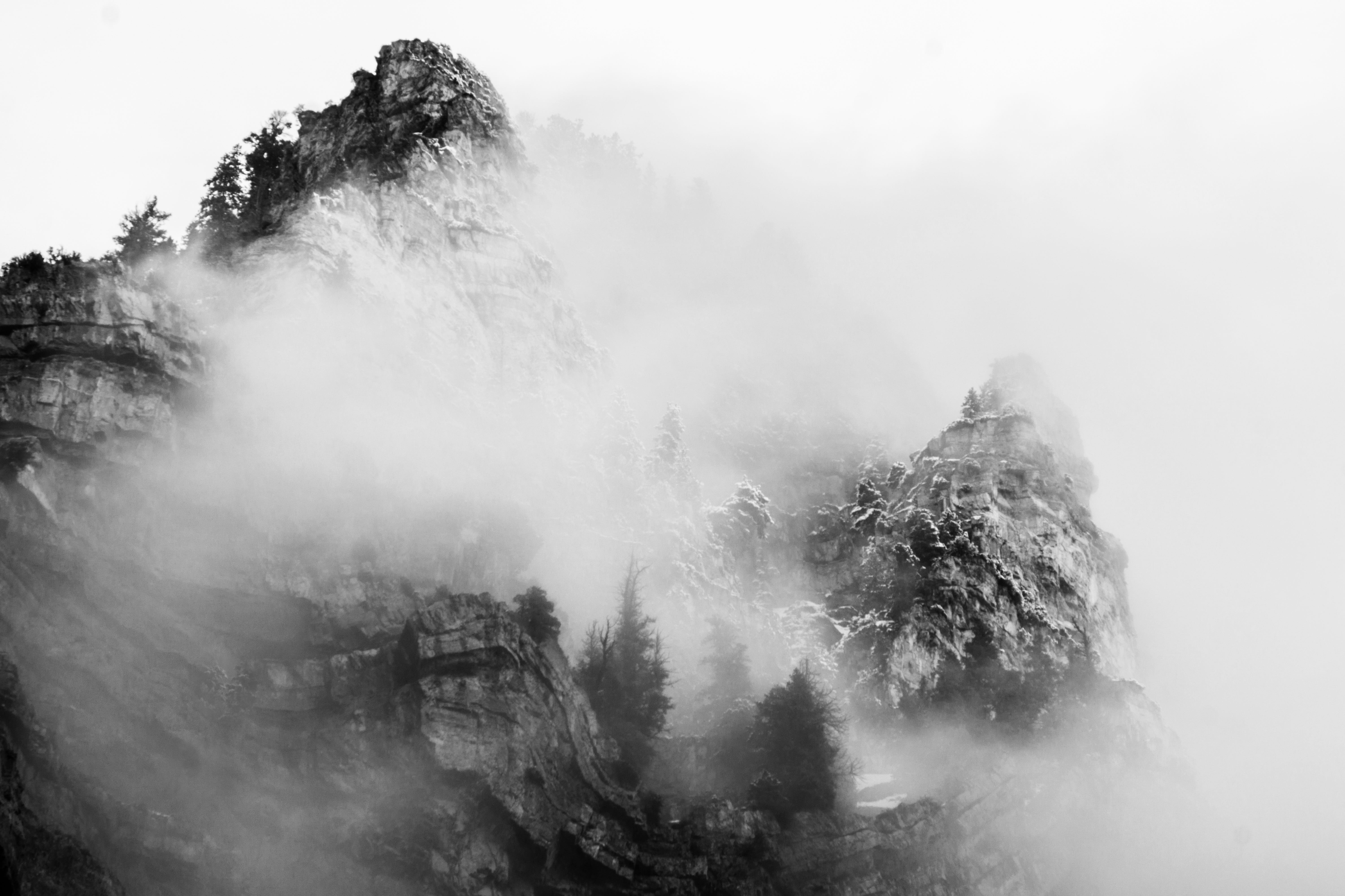 forest, mountain, mountain peak, day, no people, grayscale, outdoors, tranquil scene, land, scenics - nature, tree, photography, nature, tranquility, non-urban scene, HD Wallpaper