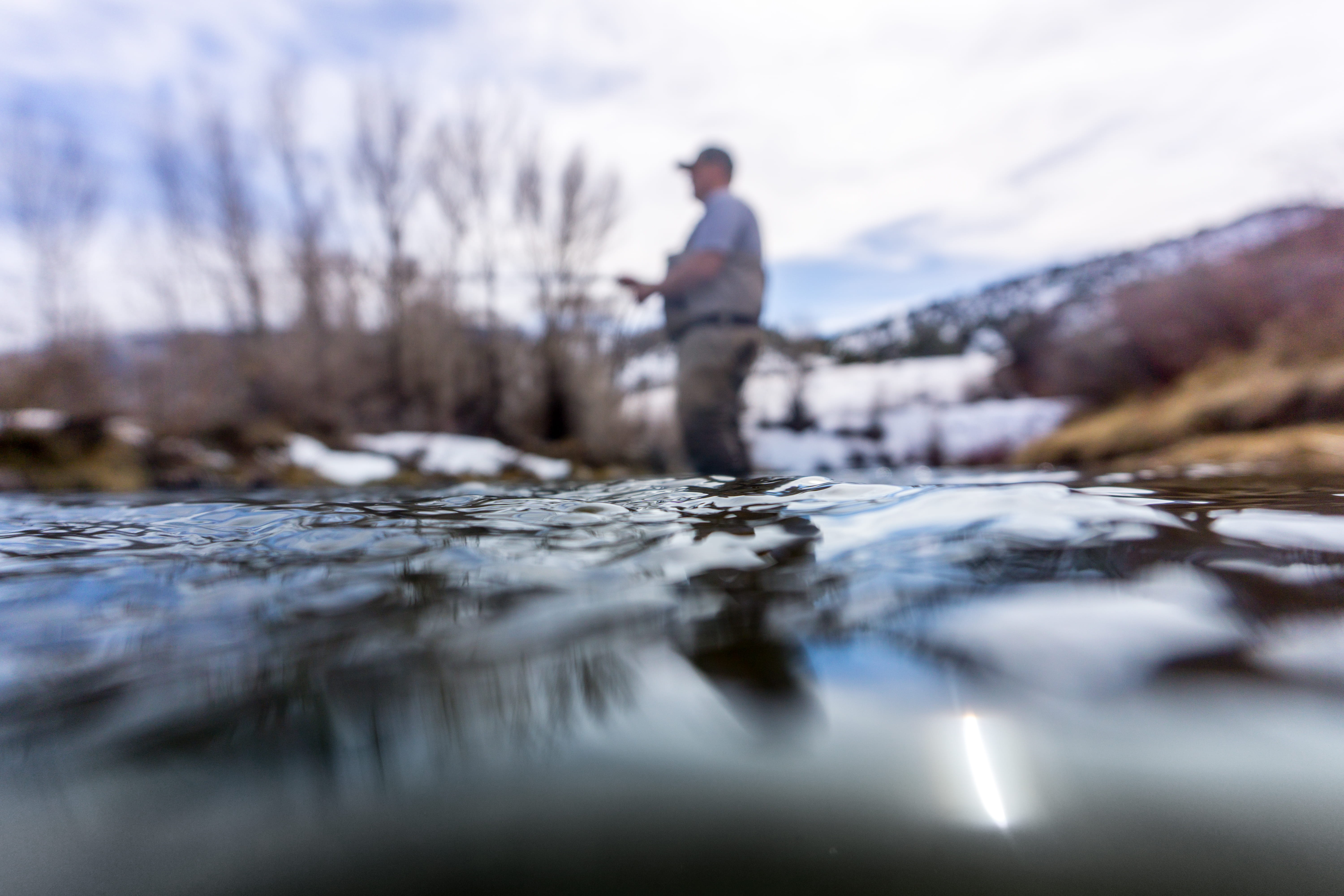 stream, water, 5K, provo river parkway, fishing, trout, fish, full length, river, tree, cold temperature, united states, males, stream - flowing water, HD Wallpaper