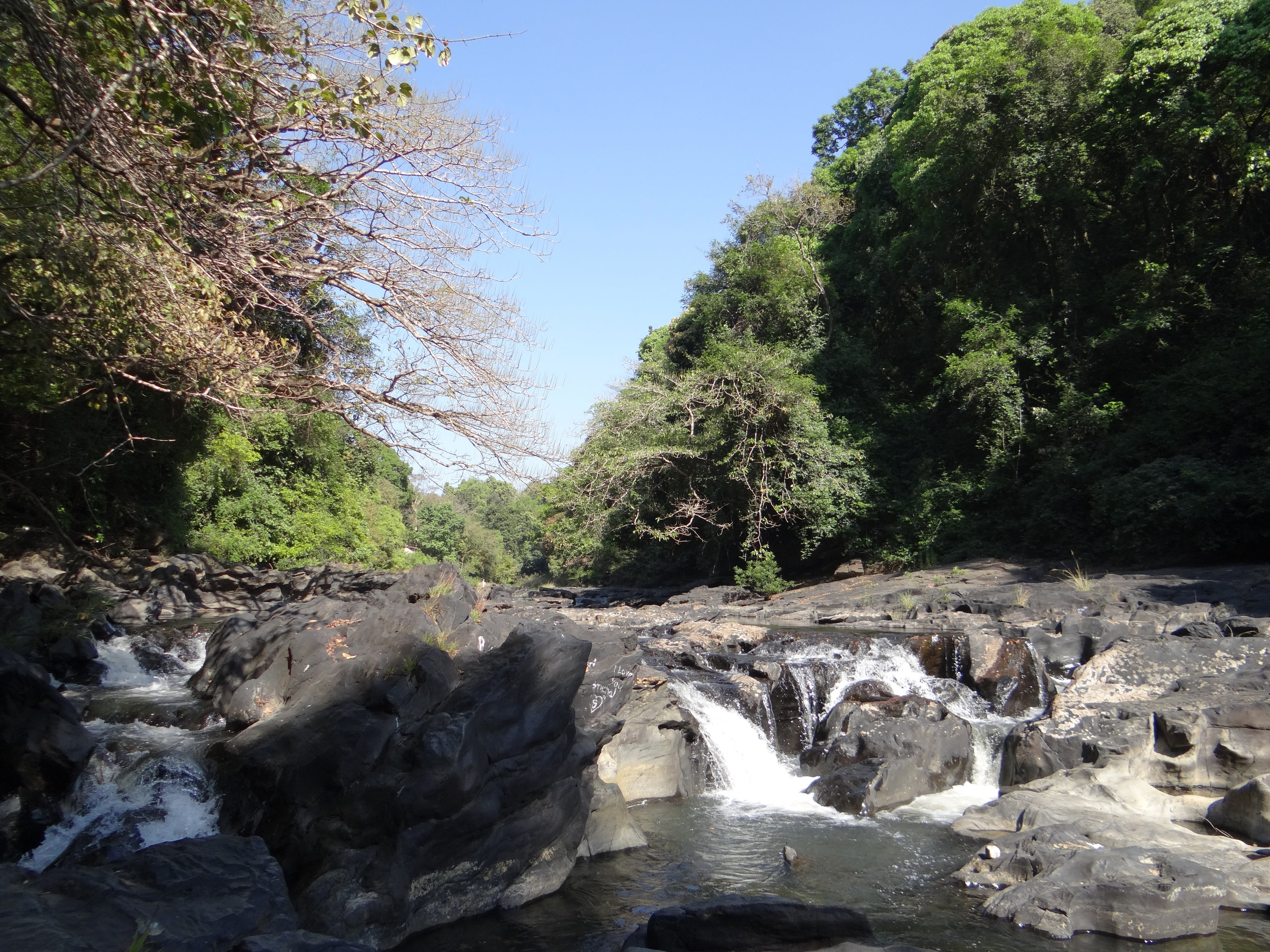 tranquil scene, solid, river, vegetation, no people, valley, rapids, rock, growth, day, scenics - nature, rock - object, khanapur, beauty in nature, plant, HD Wallpaper