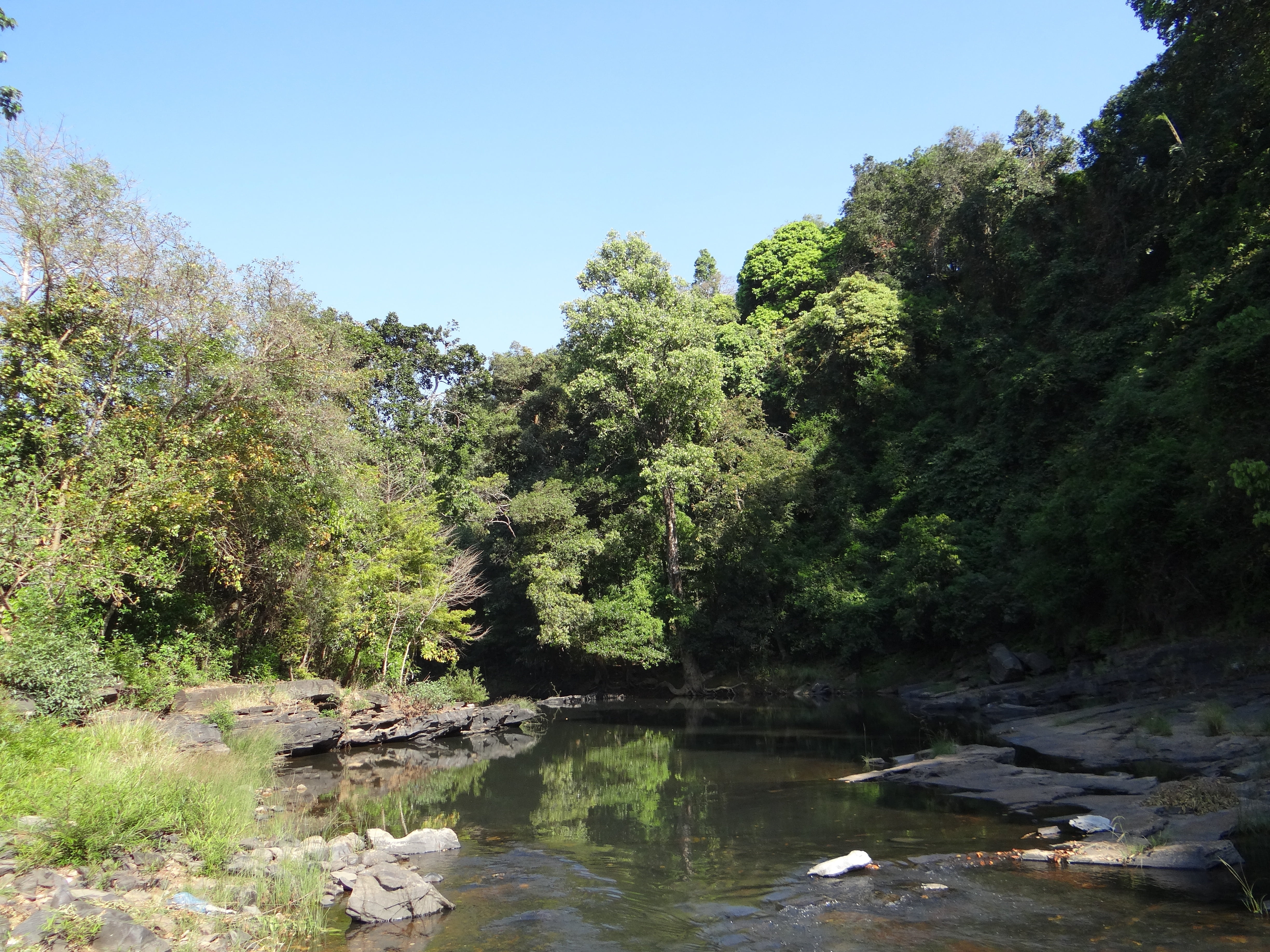 picturesque, day, flowing water, forests, tranquility, boulders, tree, forest, rocky, western ghats, river, valley, green color, no people, belgaum, clear sky, HD Wallpaper