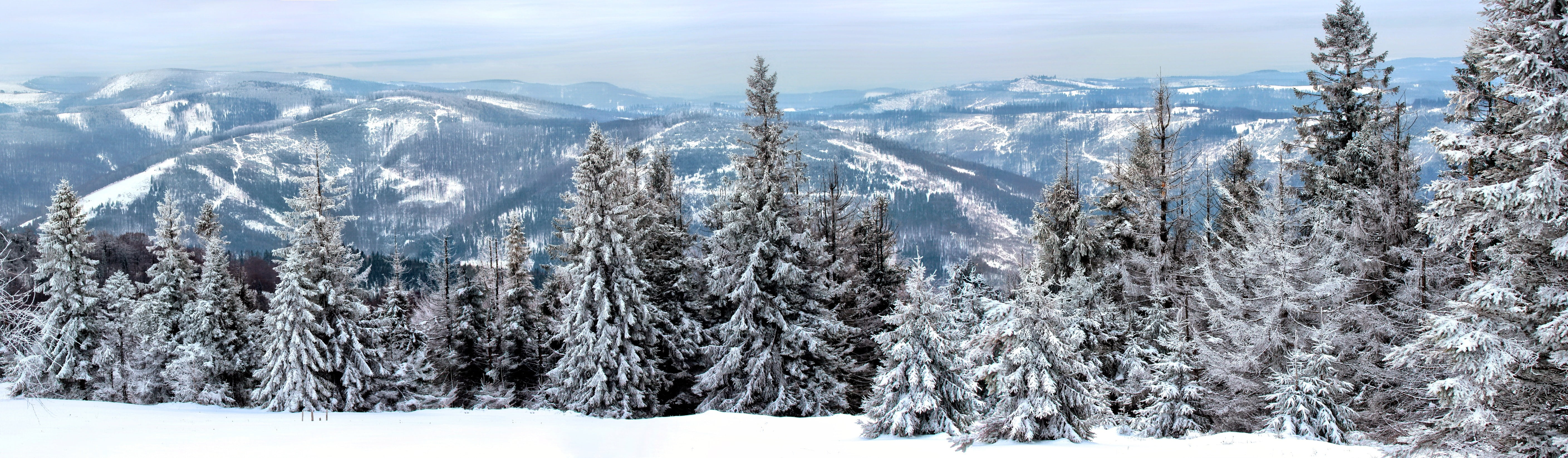 winter in the mountains, green, view, trees, photo, snowing, woodland, fir Tree, poland, pine tree, landscape, land, season, scenics, light, frozen, cold temperature, HD Wallpaper