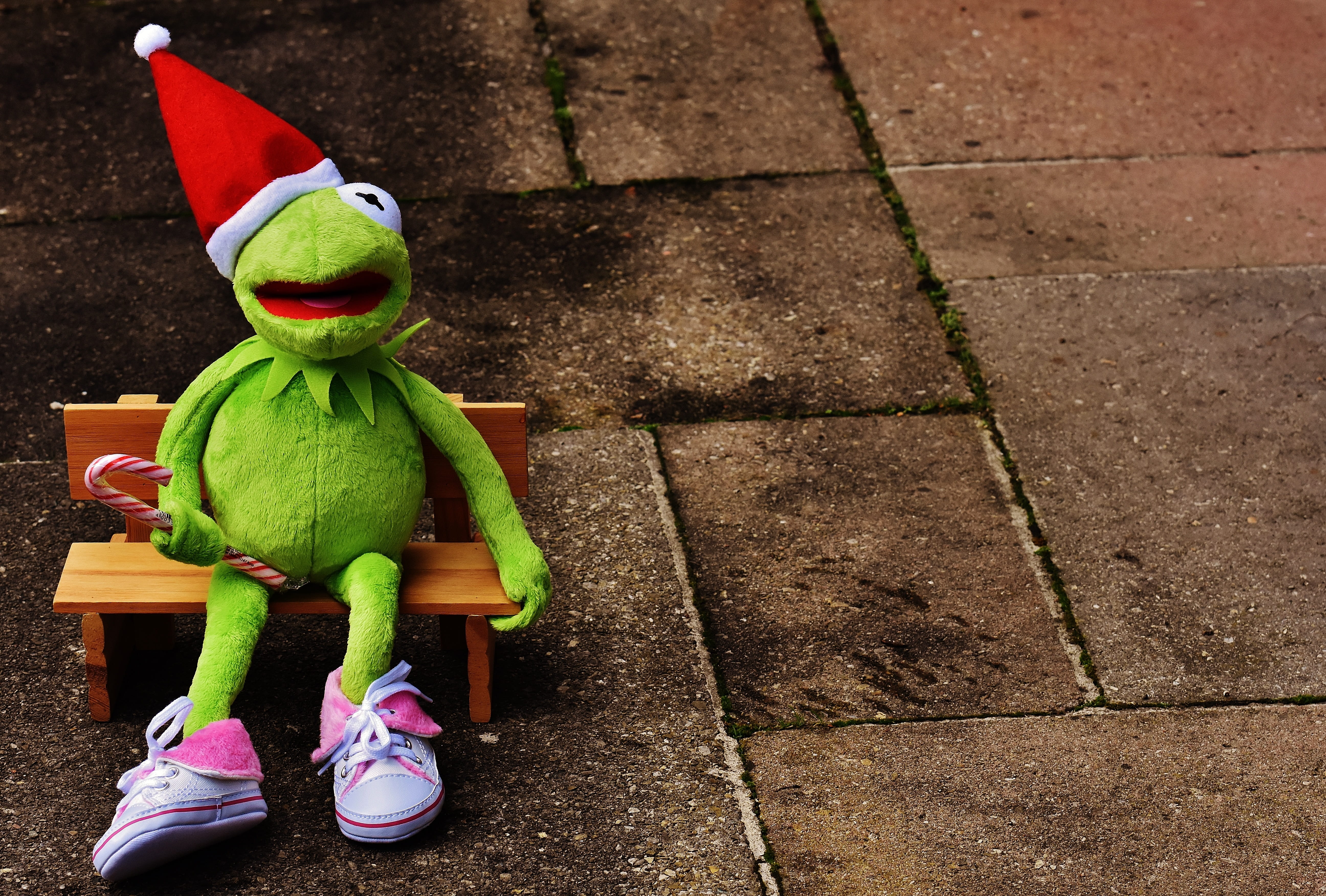humor, no people, christmas, soft toy, santa hat, 5K, still life, high angle view, children toys, sidewalk, toy, frog, stuffed animal, cute, toys, green color, HD Wallpaper