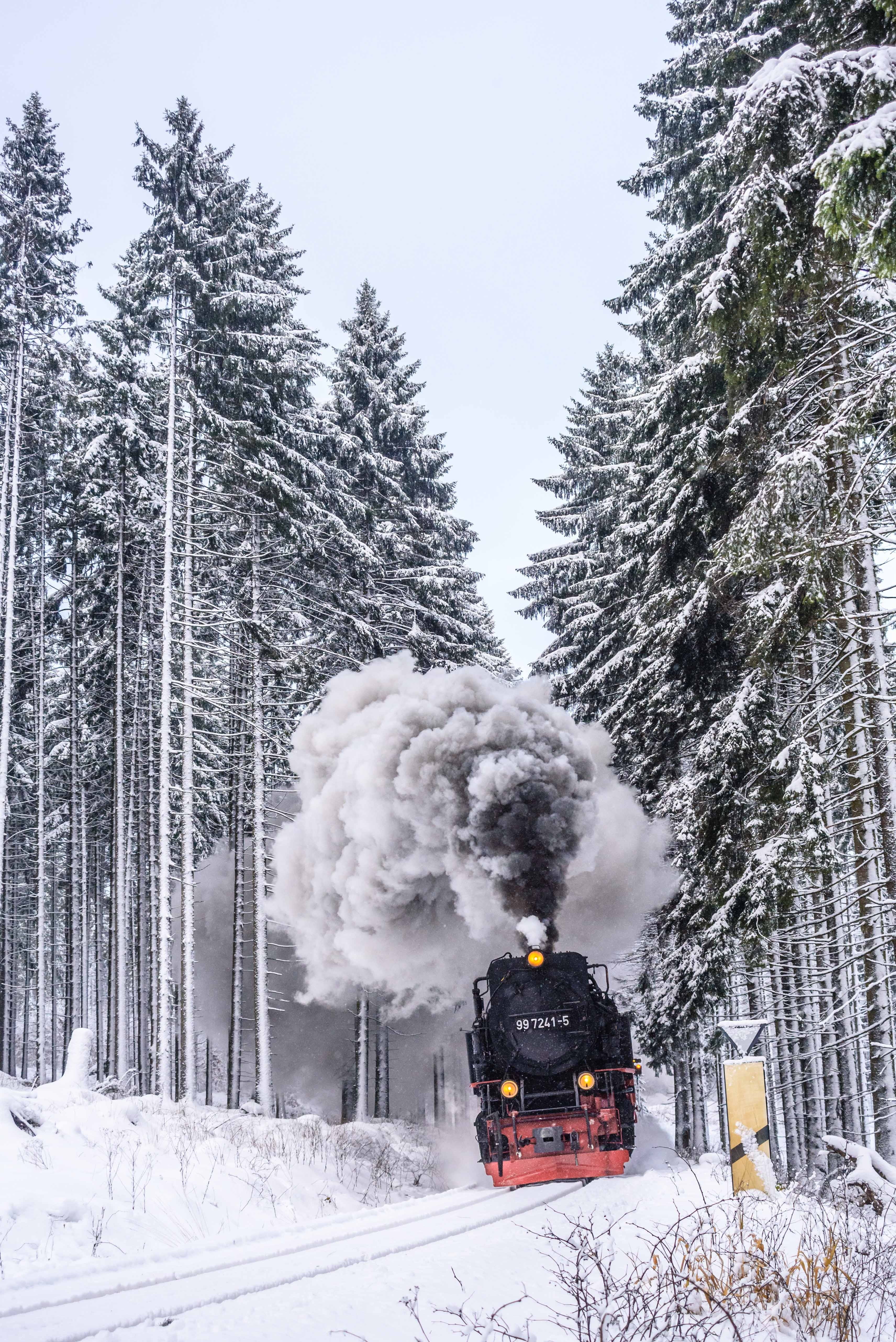 mountain, black, train - vehicle, wood, fir, trees, 5K, smoke - physical structure, cold temperature, land, blizzard, covering, nature, track, sky, plant, Phone HD Wallpaper