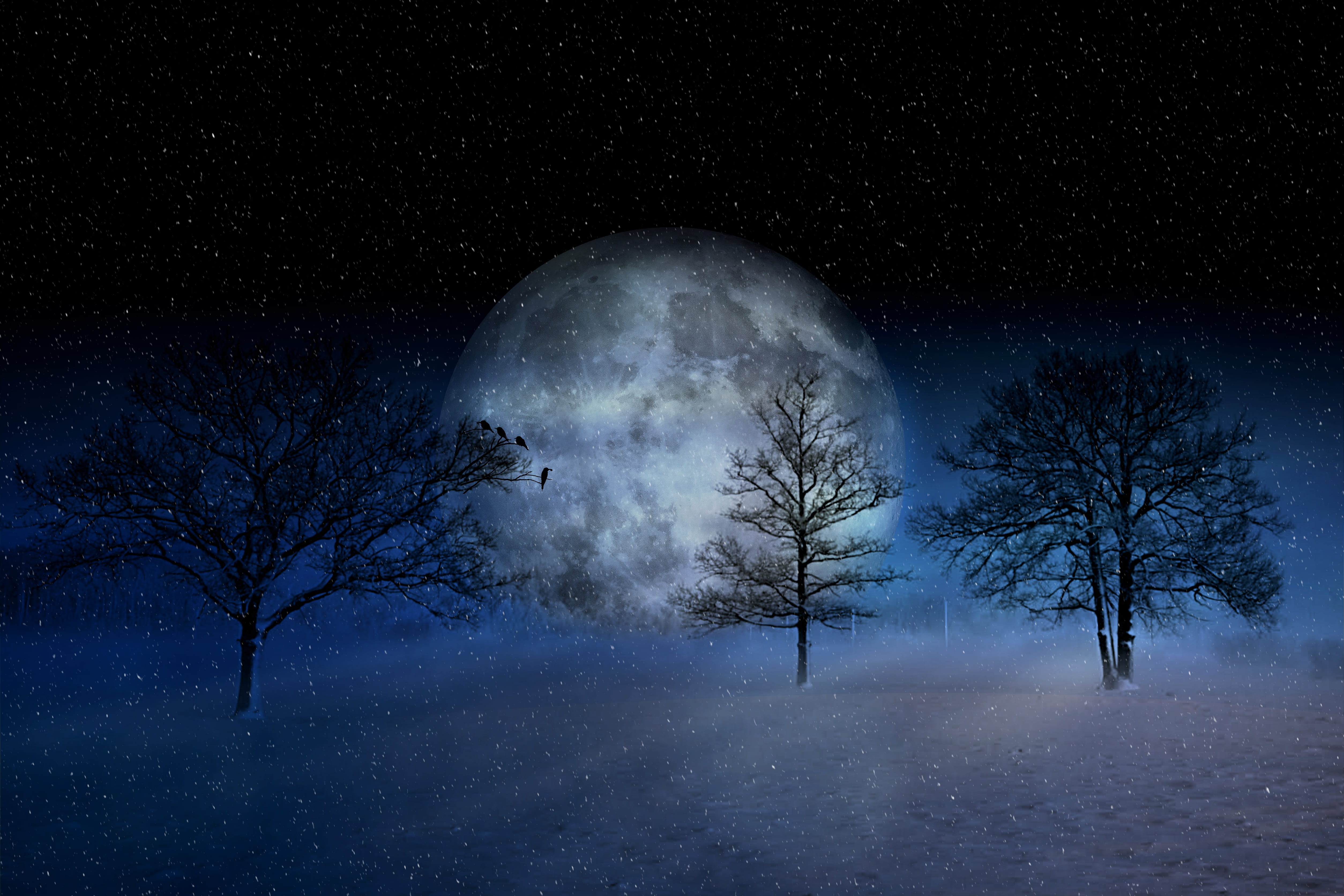 astronomy, environment, star, artwork, dark, land, snow landscape, fantasy, beauty in nature, digital composite, sky, night, 4K, snowy, moonlight, christmas, HD Wallpaper