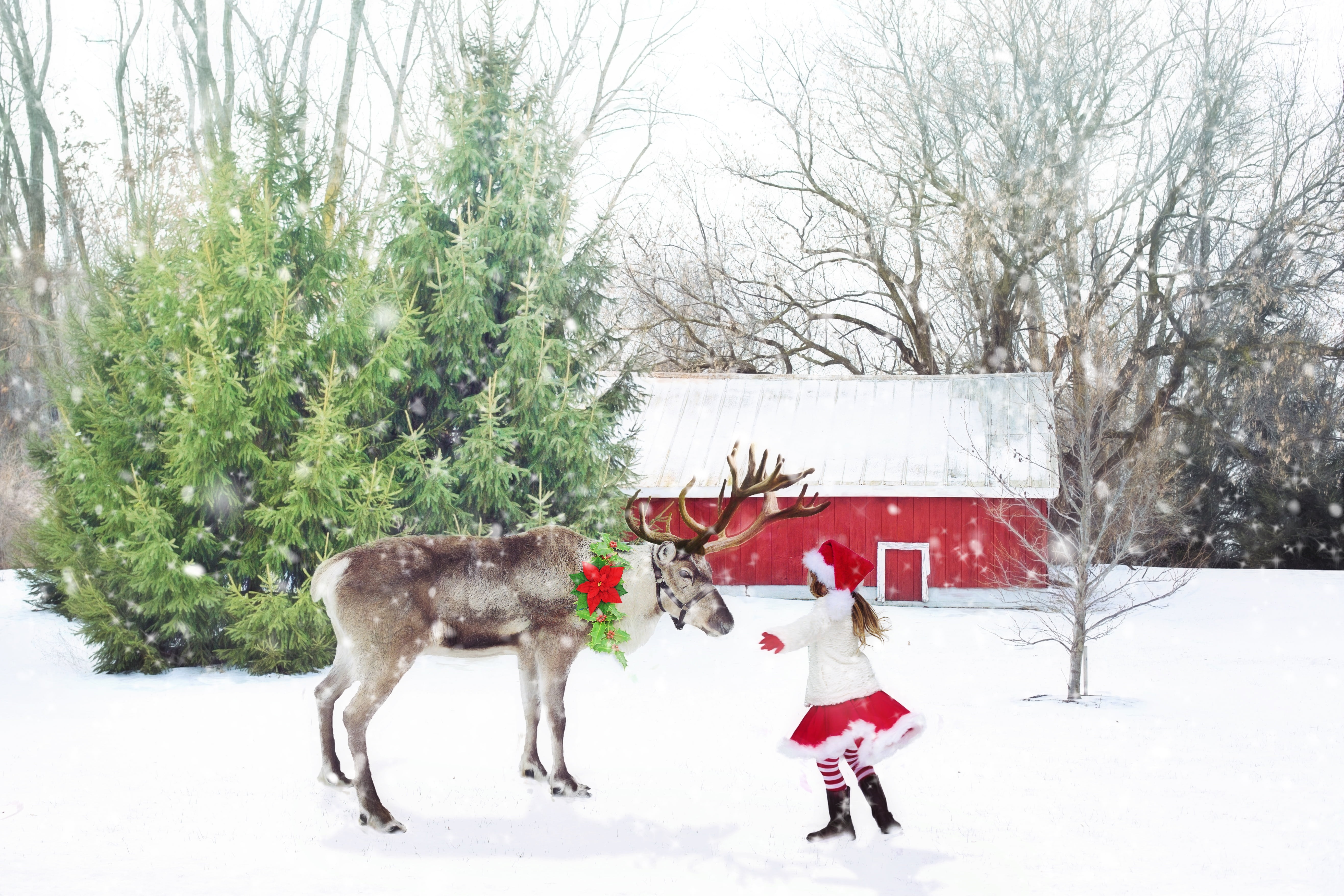 santa girl, winter, one person, outdoors, nature, red, cold temperature, girl, little girl, santa, extreme weather, real people, innocence, plant, reindeer, HD Wallpaper