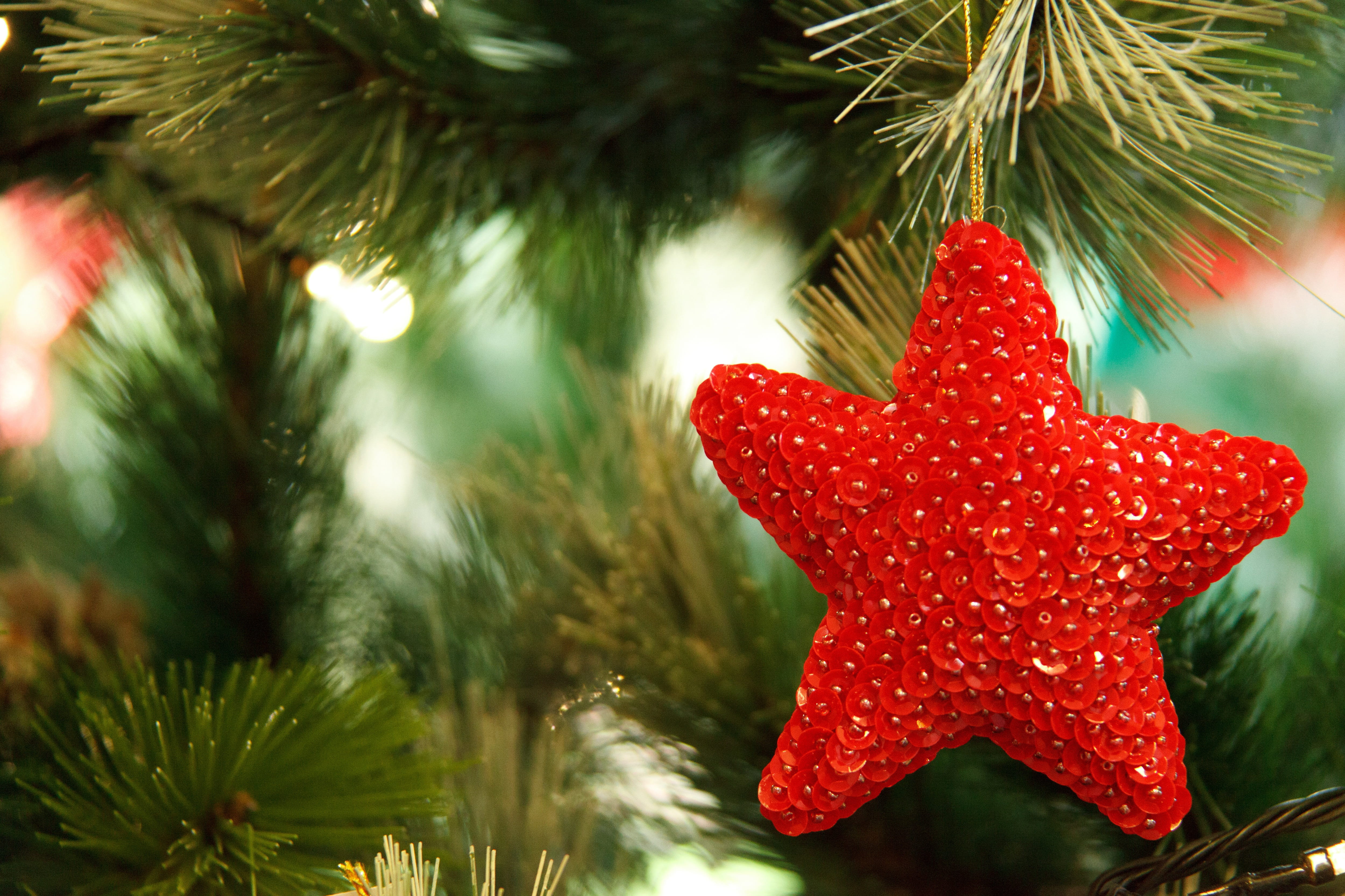 green Color, nature, xmas, decoration, shiny, fir Tree, christmas, holiday, ornament, branch, decor, merry, holiday - event, winter, christmas Tree, star, HD Wallpaper