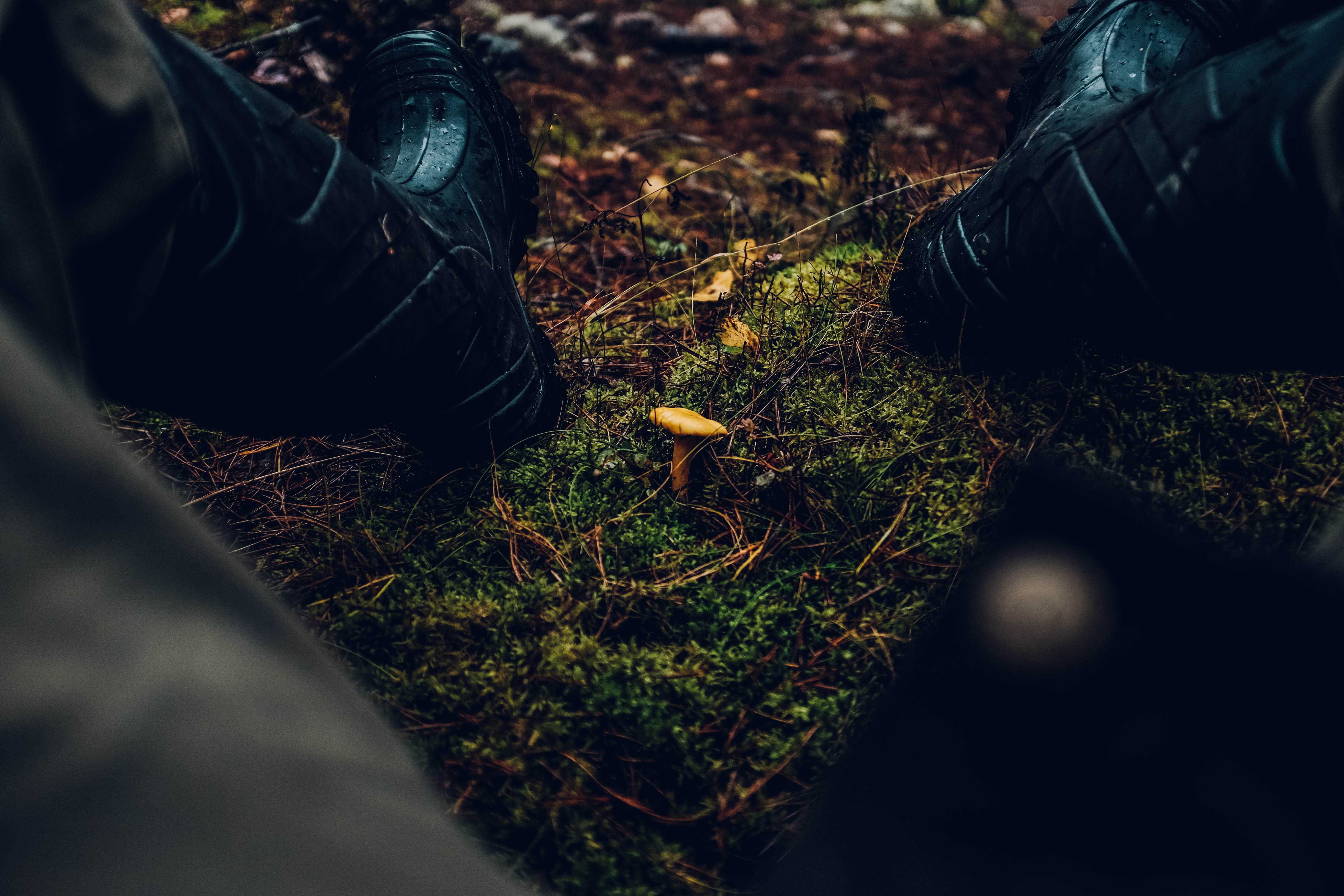 close, leisure activity, sitting, autmun, feet, nature, person, plant, human leg, jeans, selective focus, day, land, plant part, lifestyles, low section, HD Wallpaper