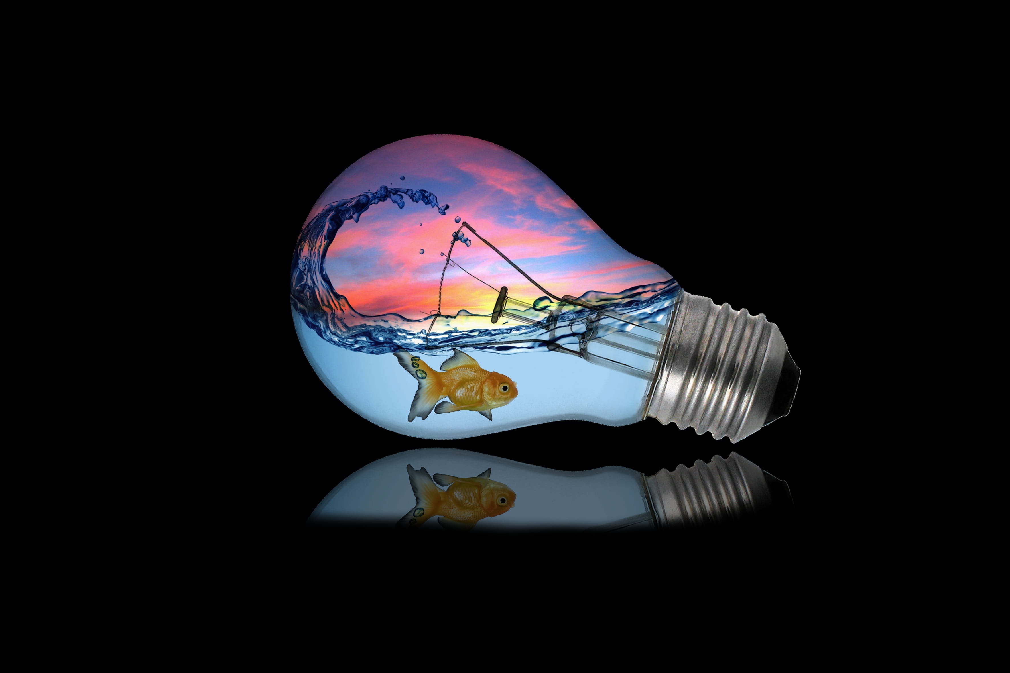 Nature, light bulb, planet earth, studio shot, black background, wealth, glass - material, reflection, Water, shape, light, transparent, still life, fragility, HD Wallpaper