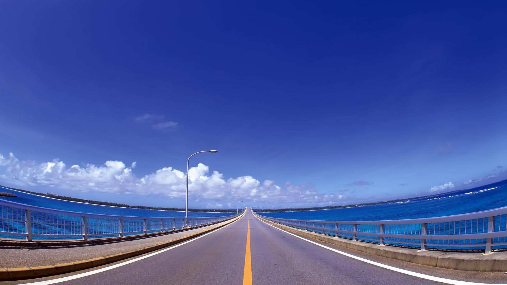 animals, keys, florida, architecture, bridges, 1080P, HD Wallpaper