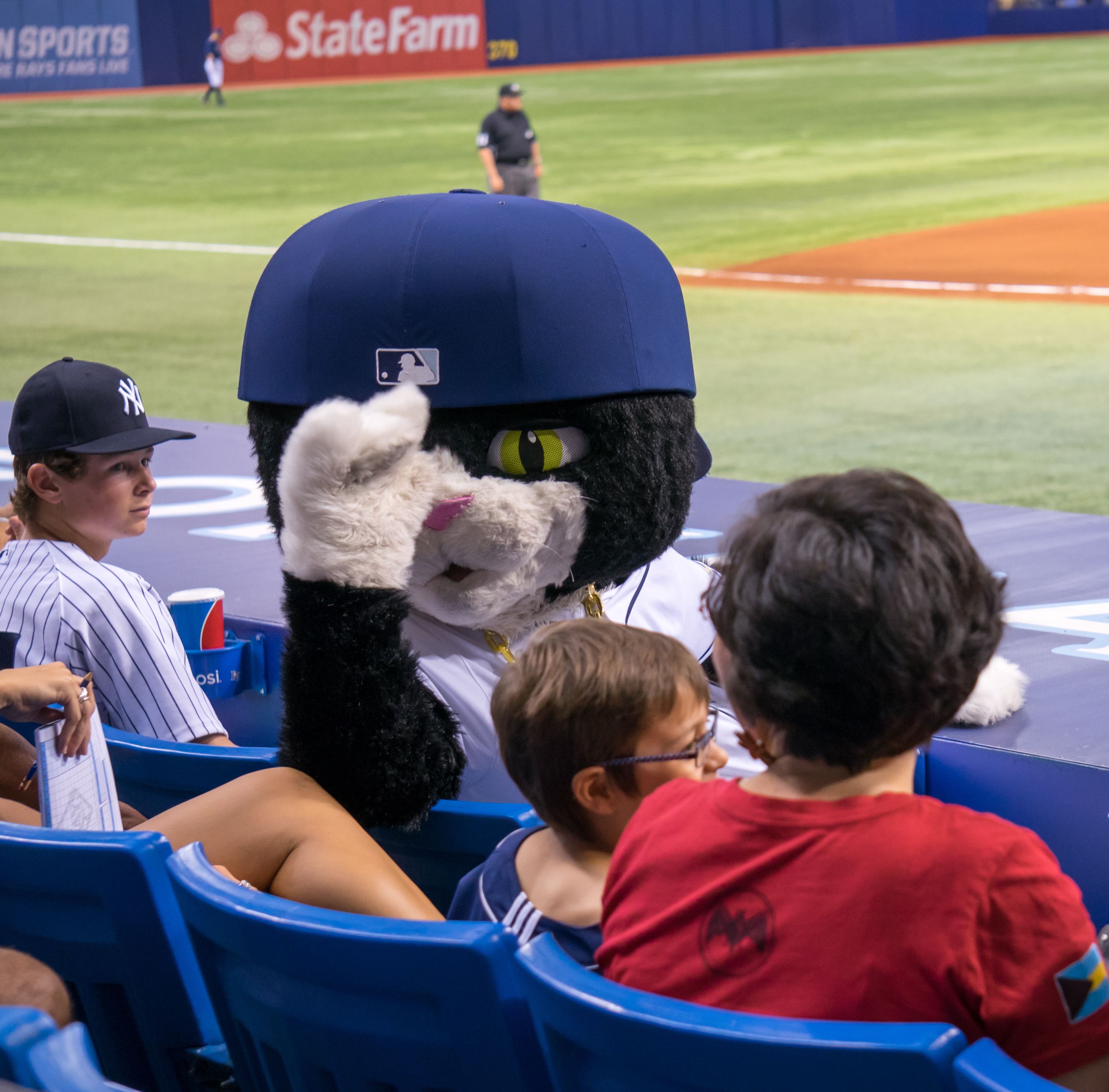 sport, dj kitty, baseball, spectator, real people, athlete, people, males, childhood, 2K, child, competition, stadium, rear view, women, lifestyles, tropicana field, HD Wallpaper