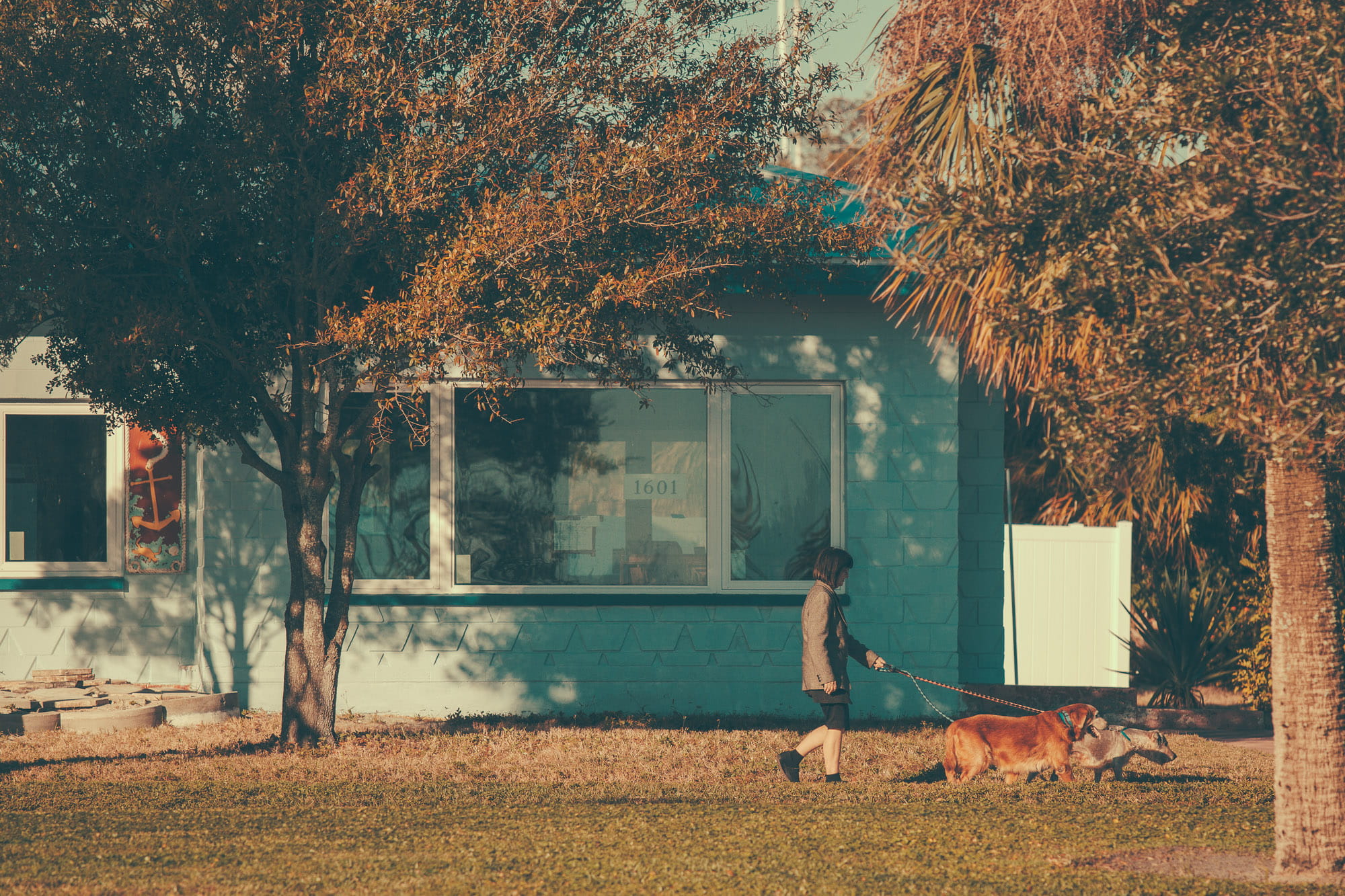 growth, house, vscofilm, women, architecture, tree, florida, walking, 1080P, mammal, nature, building exterior, fl, building, lifestyles, real people, HD Wallpaper
