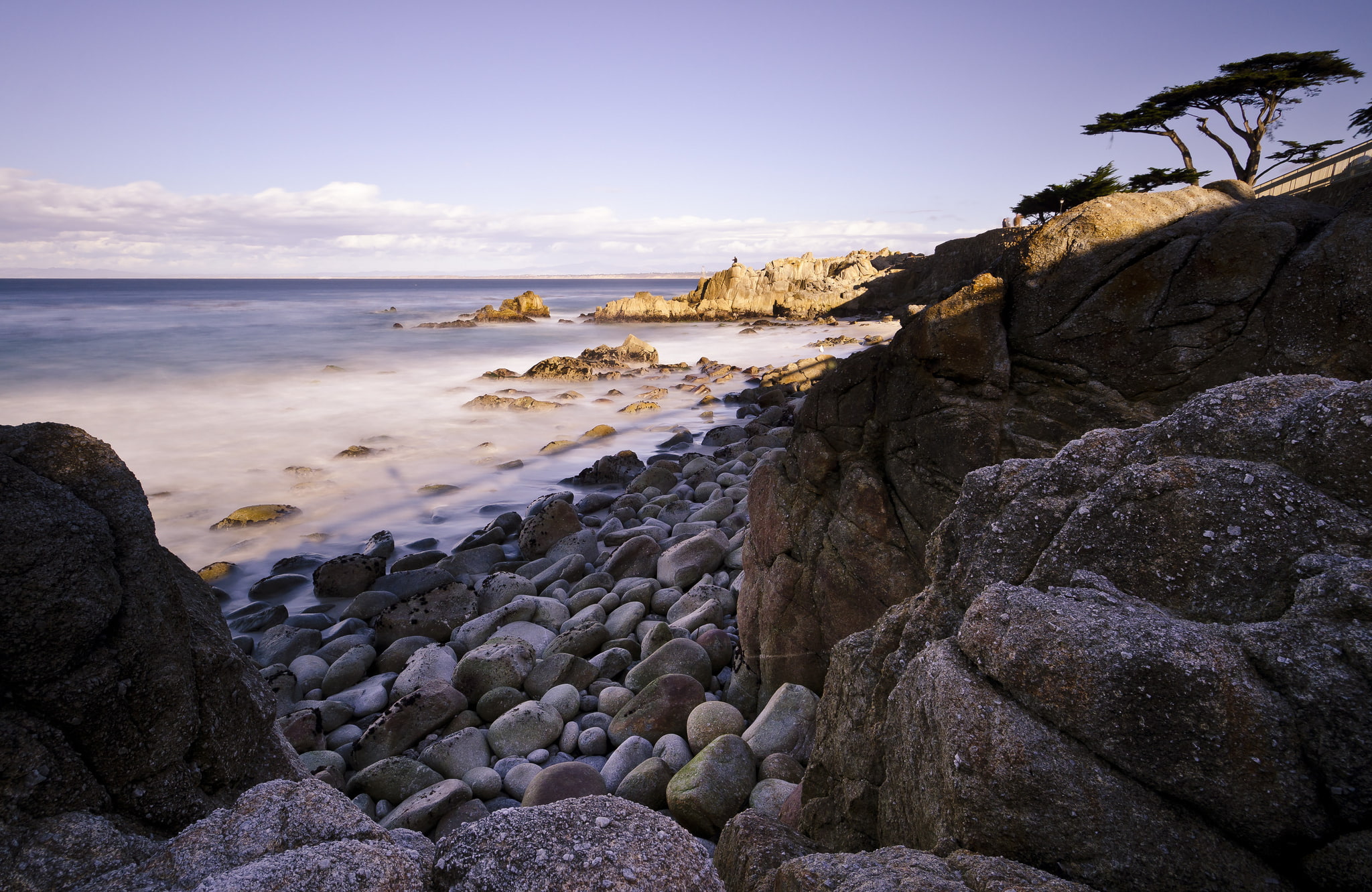 Pacific Grove, stones, USА, trees, beach, 1080P, Pacific Grove Acres, rocks, HD Wallpaper