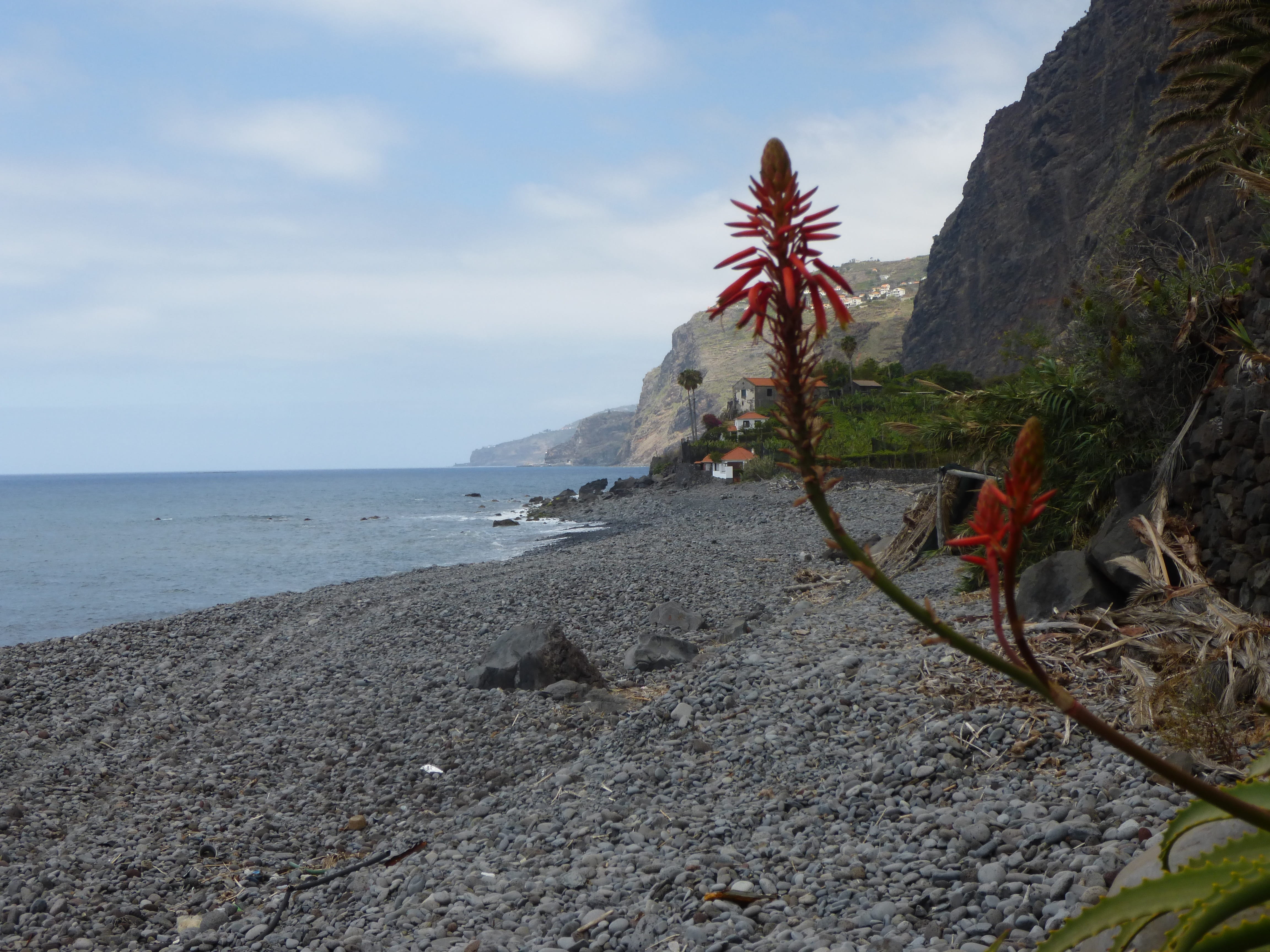 sky, horizon, no people, beauty in nature, tranquil scene, atlantic, rock - object, cloud - sky, solid, plant, sea, flowers, madeira, beach, rock, horizon over water, HD Wallpaper