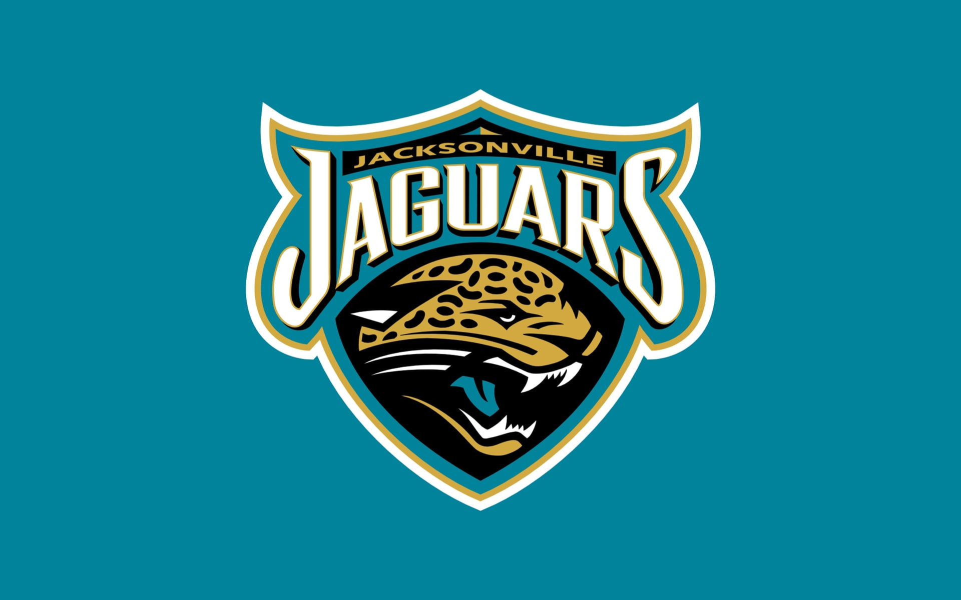 1080P, jacksonville, nfl, football, jaguars, HD Wallpaper