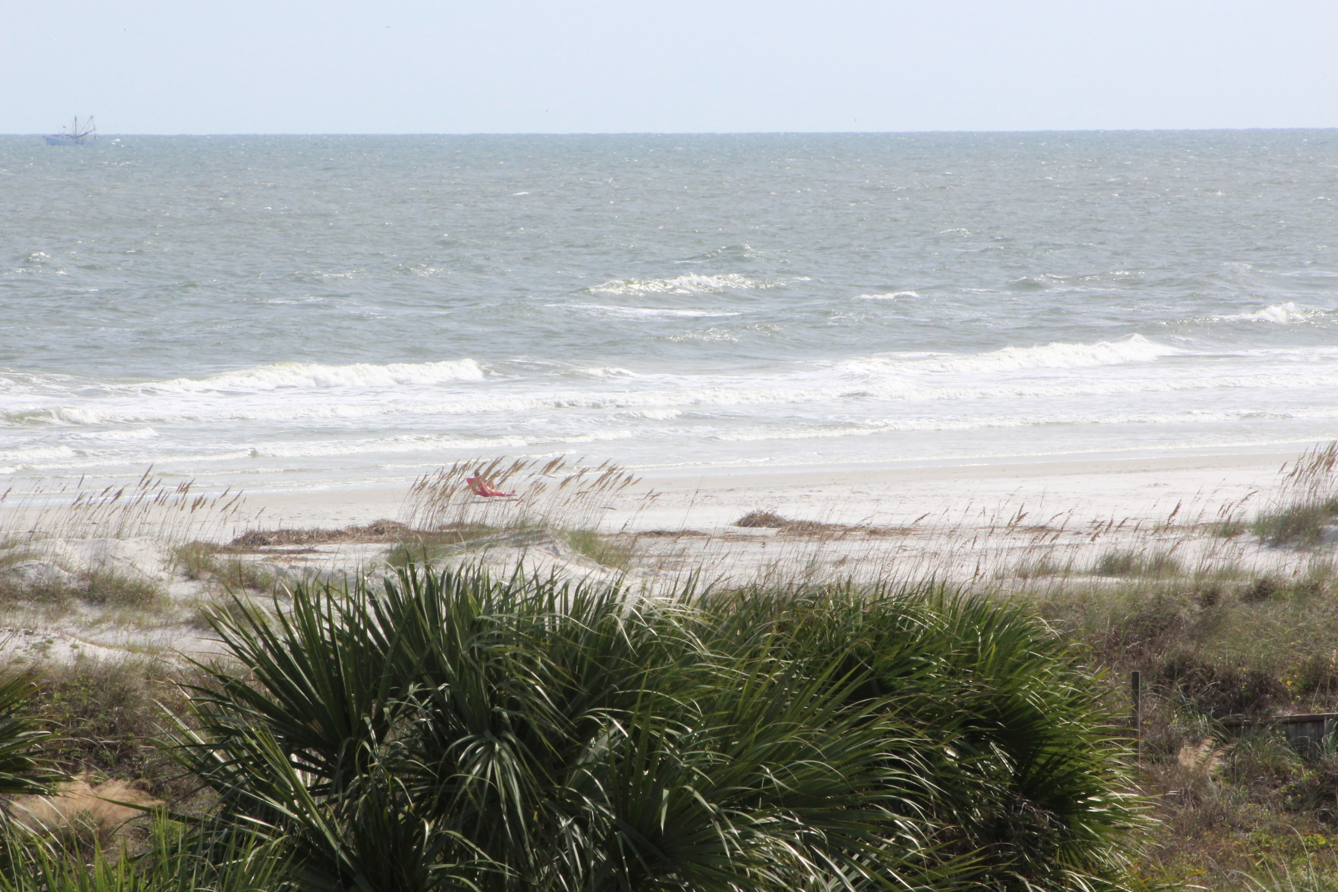 nature, landscape, marram grass, 5K, plant, vacation, st augustine, grass, waves, sky, motion, no people, tranquil scene, tranquility, ocean, coast, tourism, HD Wallpaper