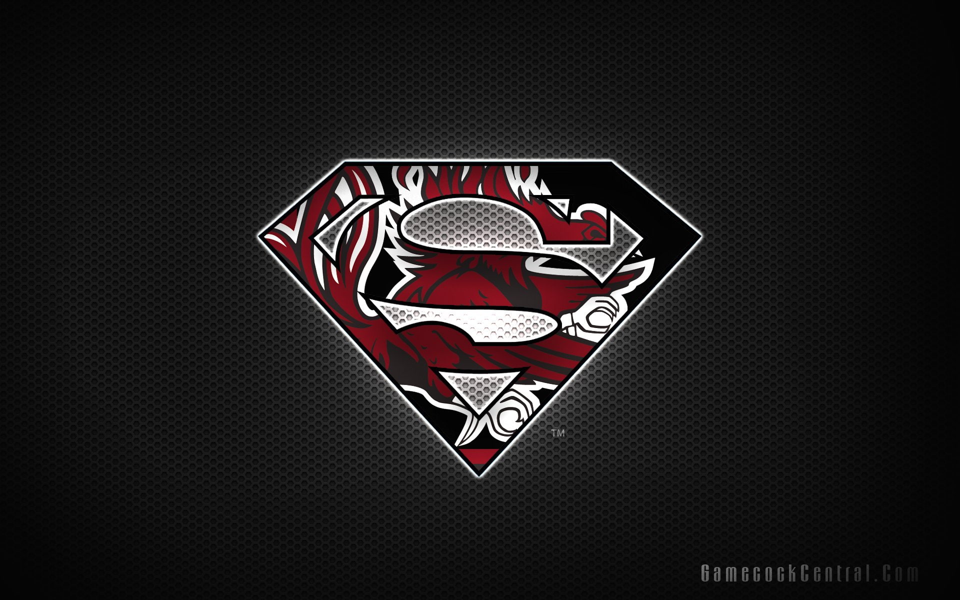 college, football, south, 1080P, gamecocks, carolina, HD Wallpaper