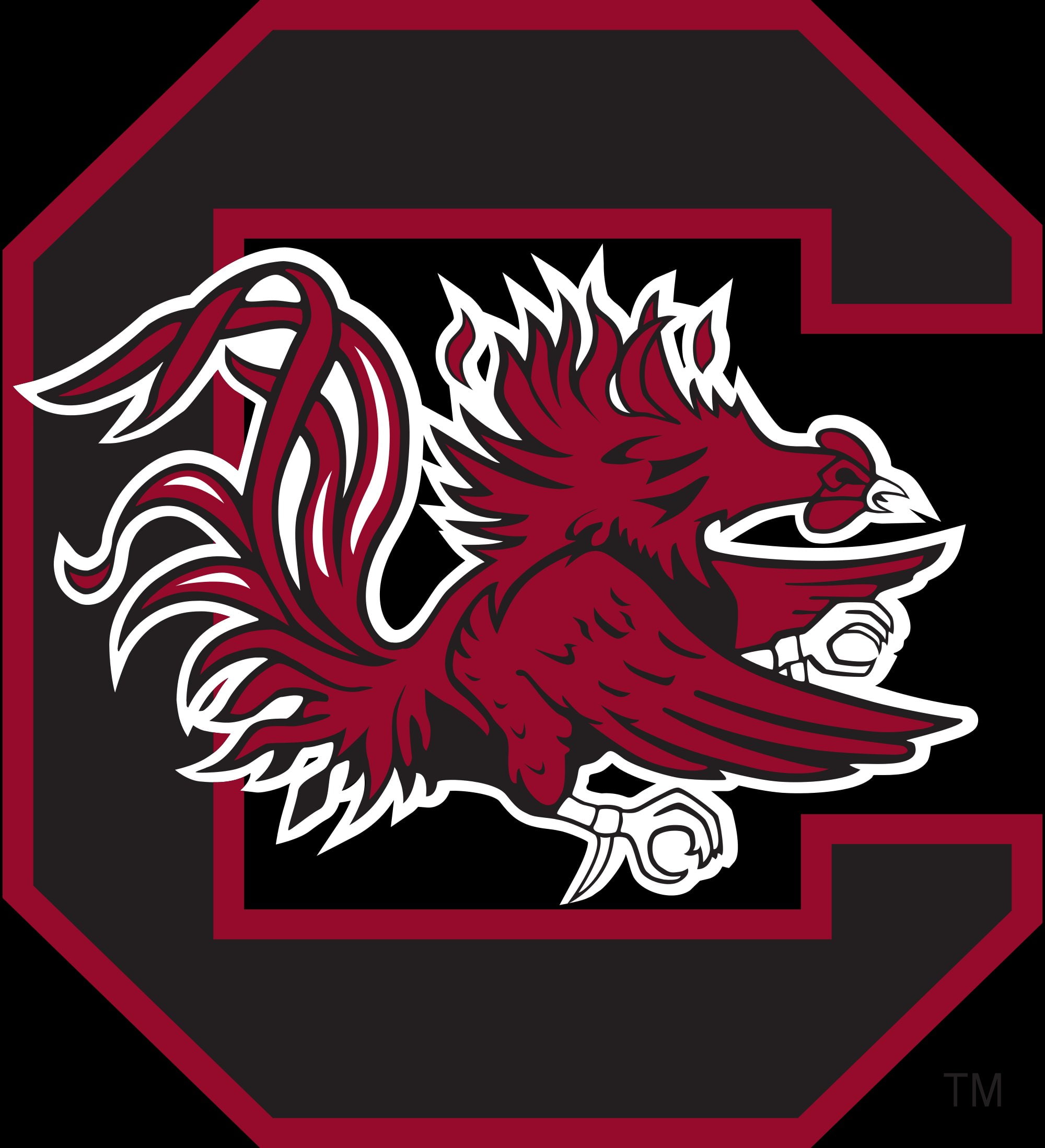 college, carolina, 1080P, football, south, gamecocks, Phone HD Wallpaper